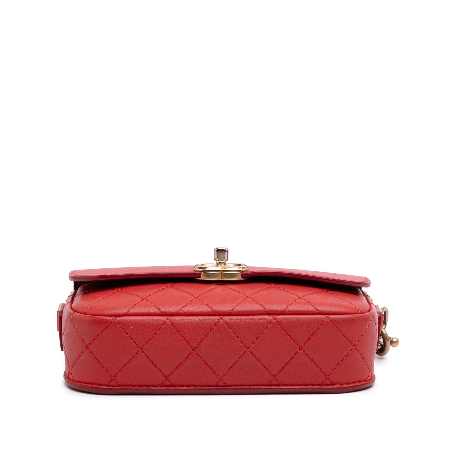 Chanel Quilted Calfskin Multi Pouching Flap Handbag