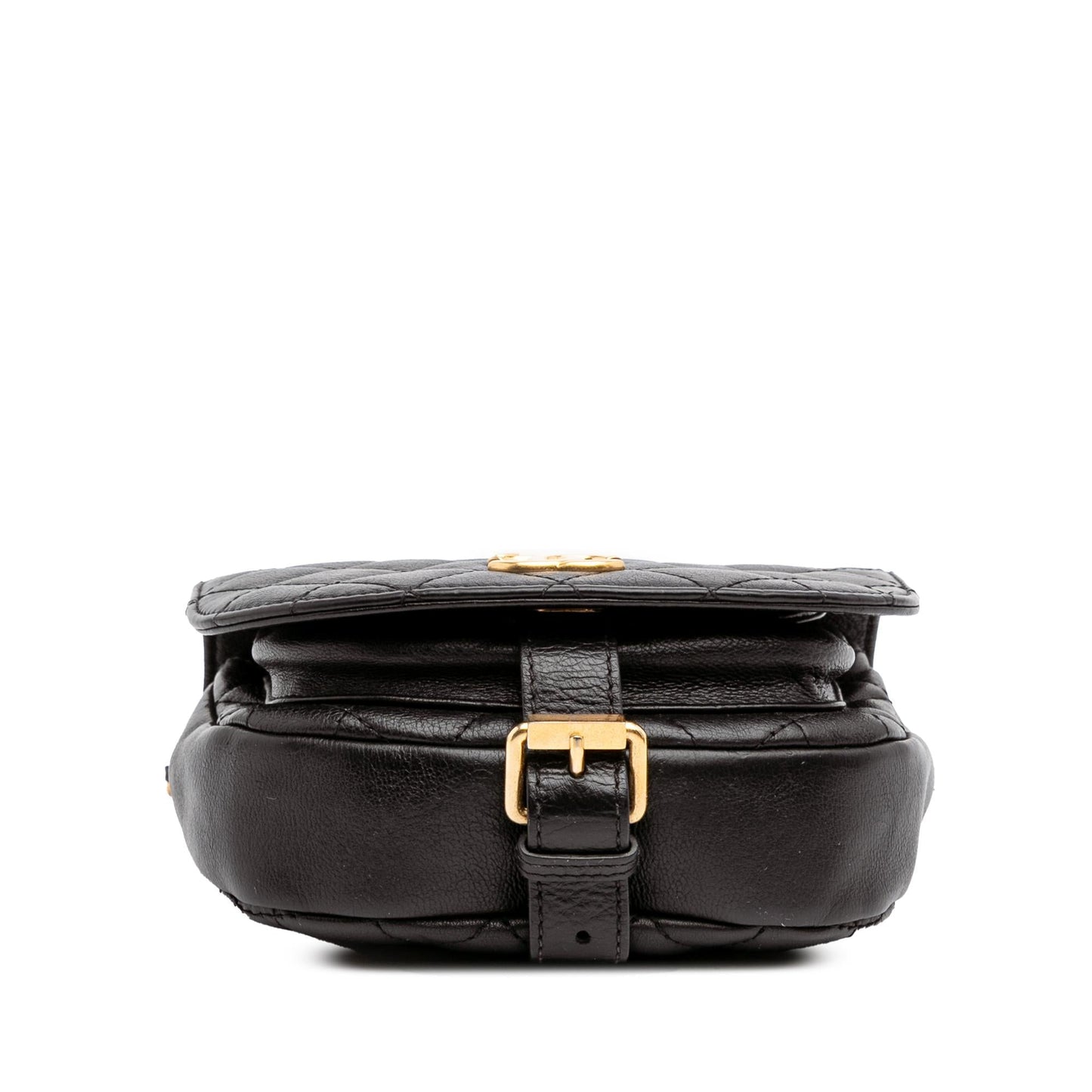 Chanel Quilted Grained Calfskin Casual Trip Messenger Bag