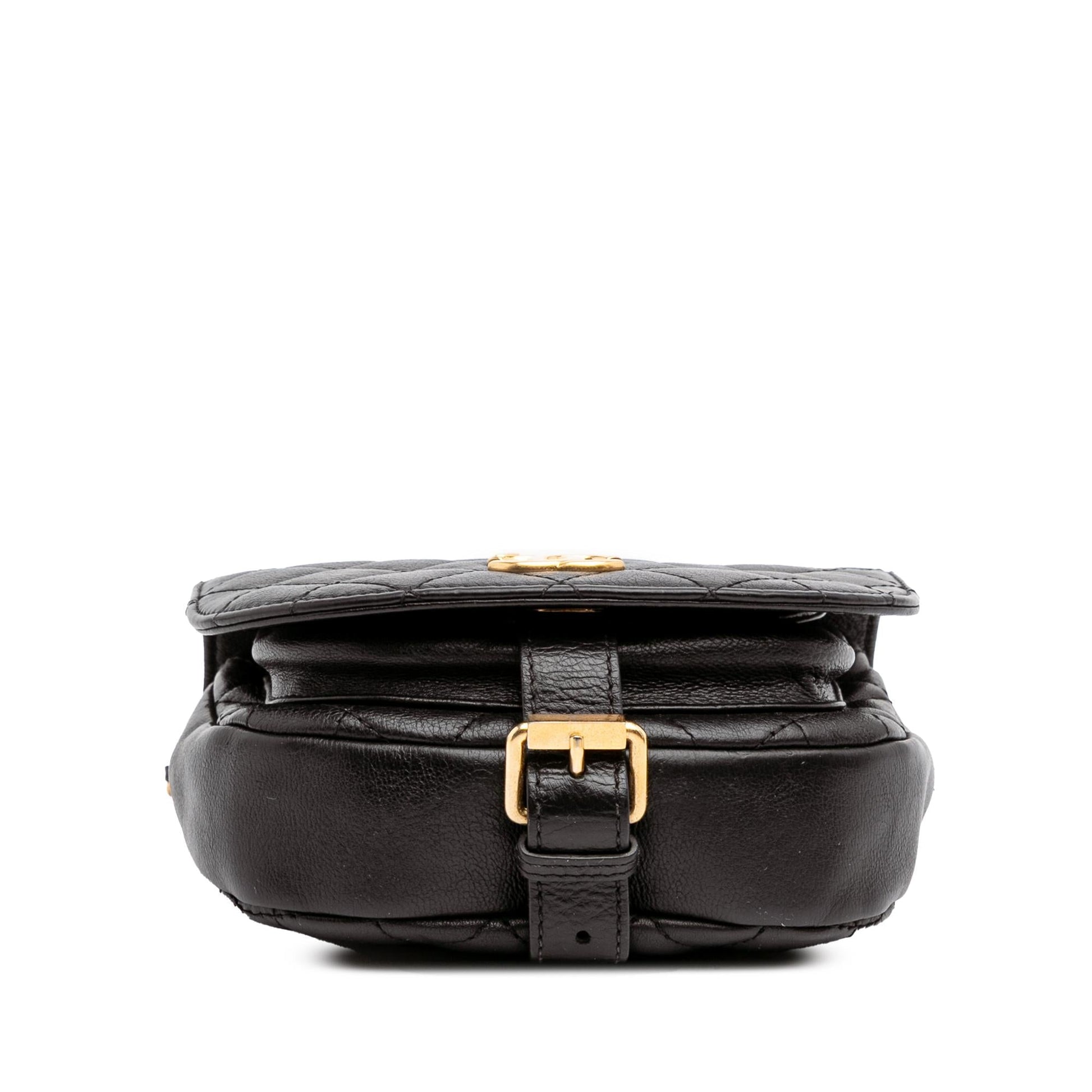 Chanel Quilted Grained Calfskin Casual Trip Messenger Bag