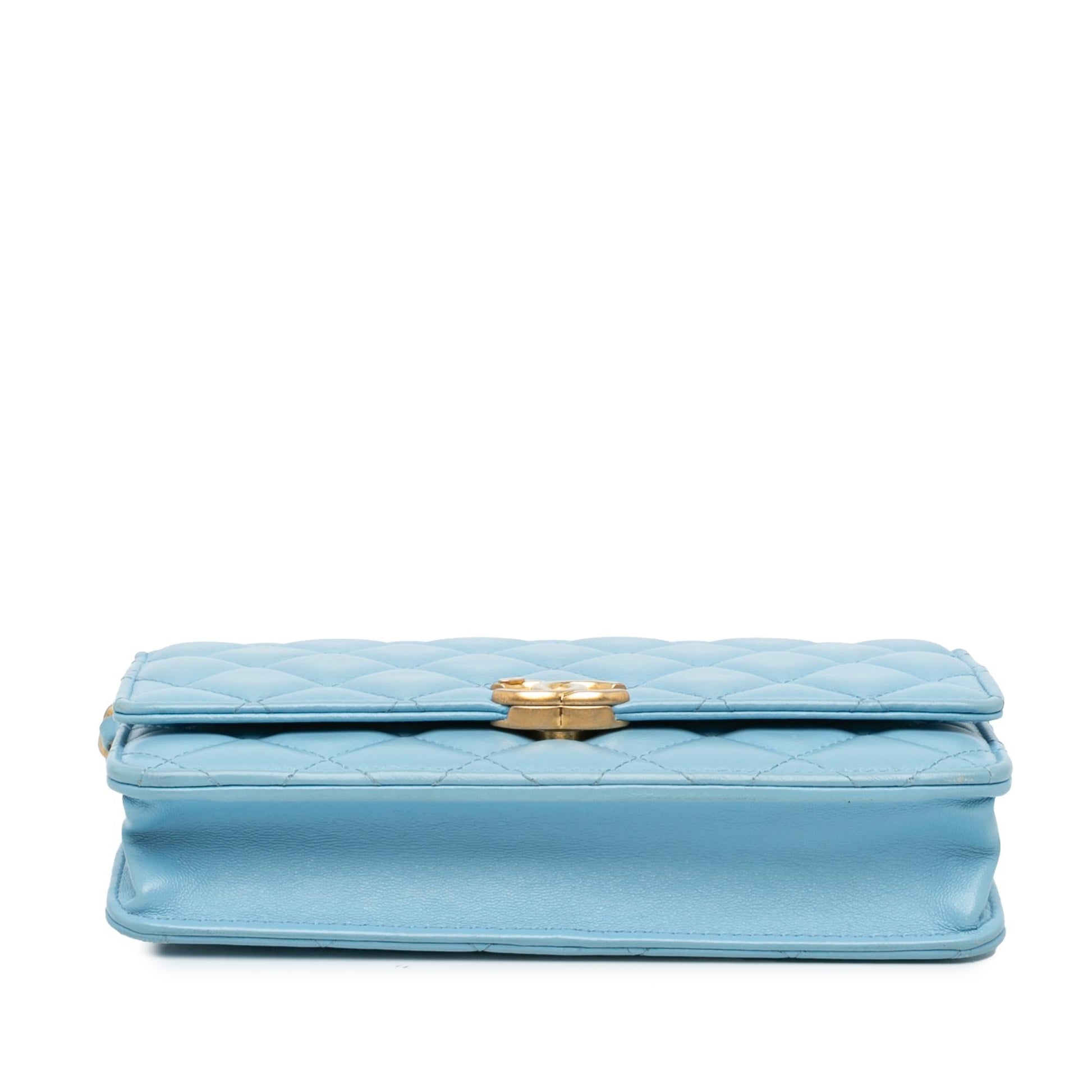 Chanel Quilted Lambskin Candy on Wallet Case