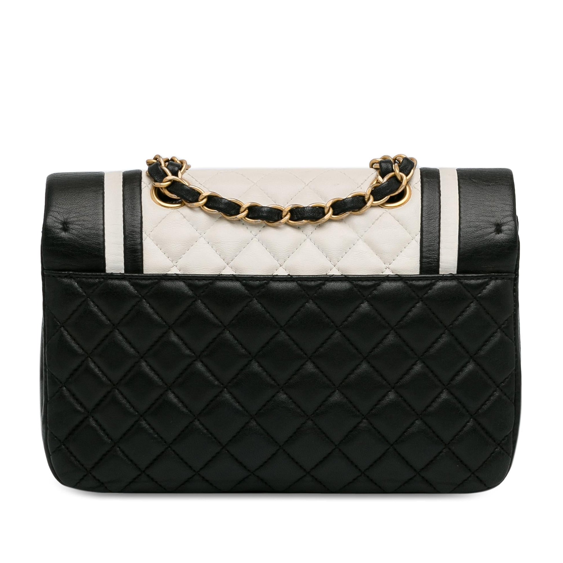 Chanel Bicolor Lambskin Paris Cosmopolite Flap SHG-yTuQ45 Small Handbag