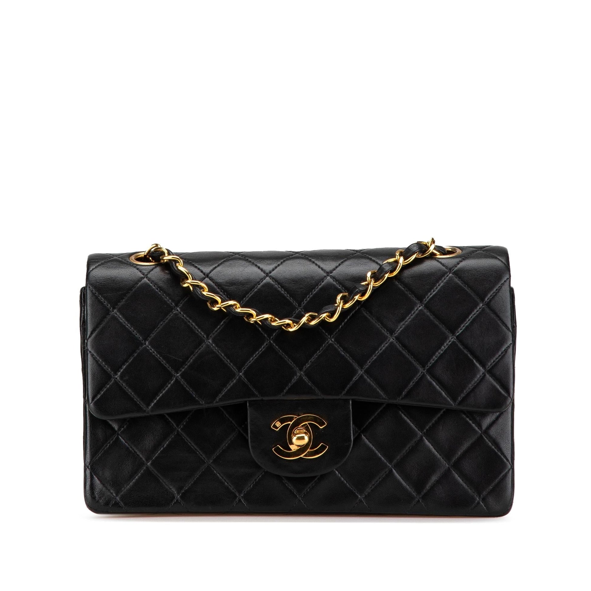 Chanel Classic Lambskin Double Flap Small Handbag Double Flap