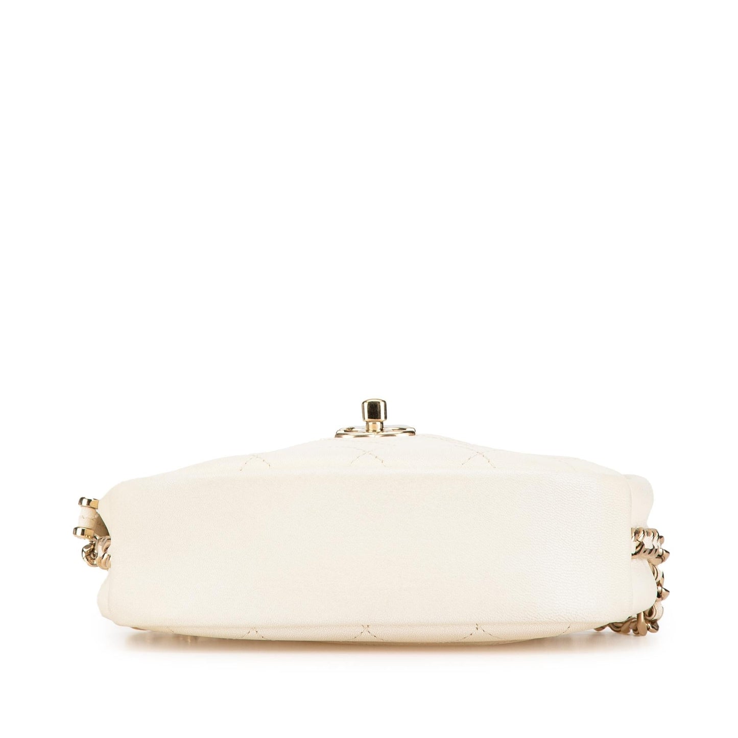Chanel Quilted Goatskin Casual Trip Camera Small Crossbody Bag