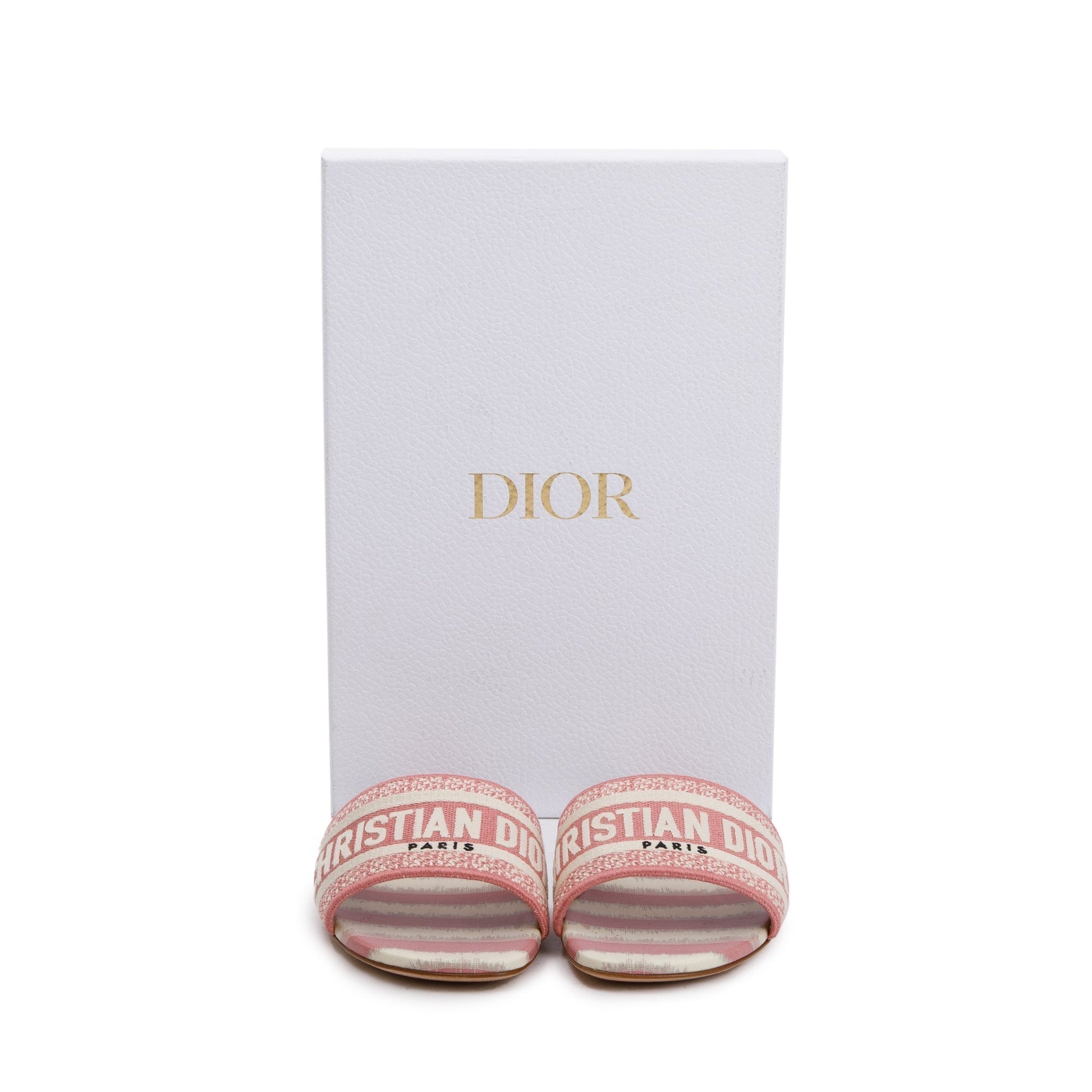 Dior Christian Deep Nude Embroidered Cotton D Stripes Travel Bag