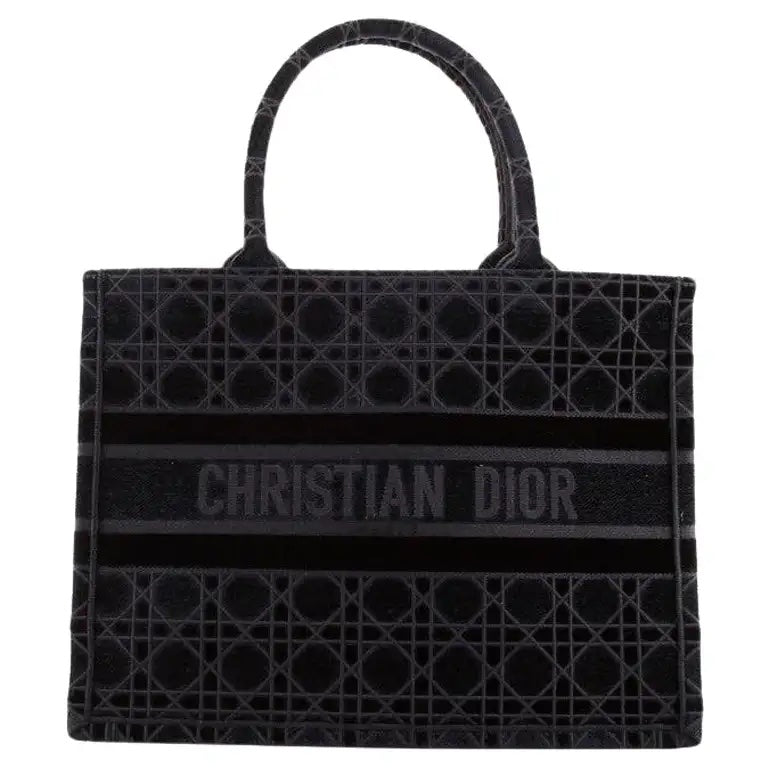 Dior Book Tote Bag