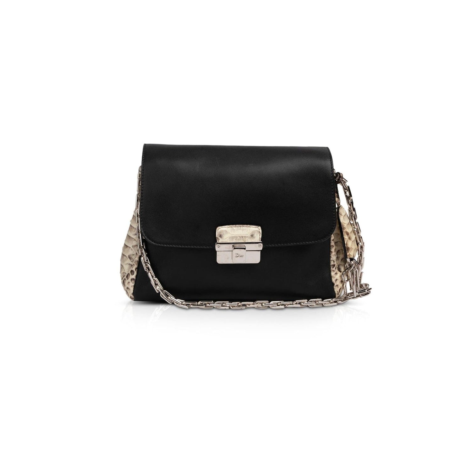 Dior Christian Python Trimmed ling Bag Travel Bag