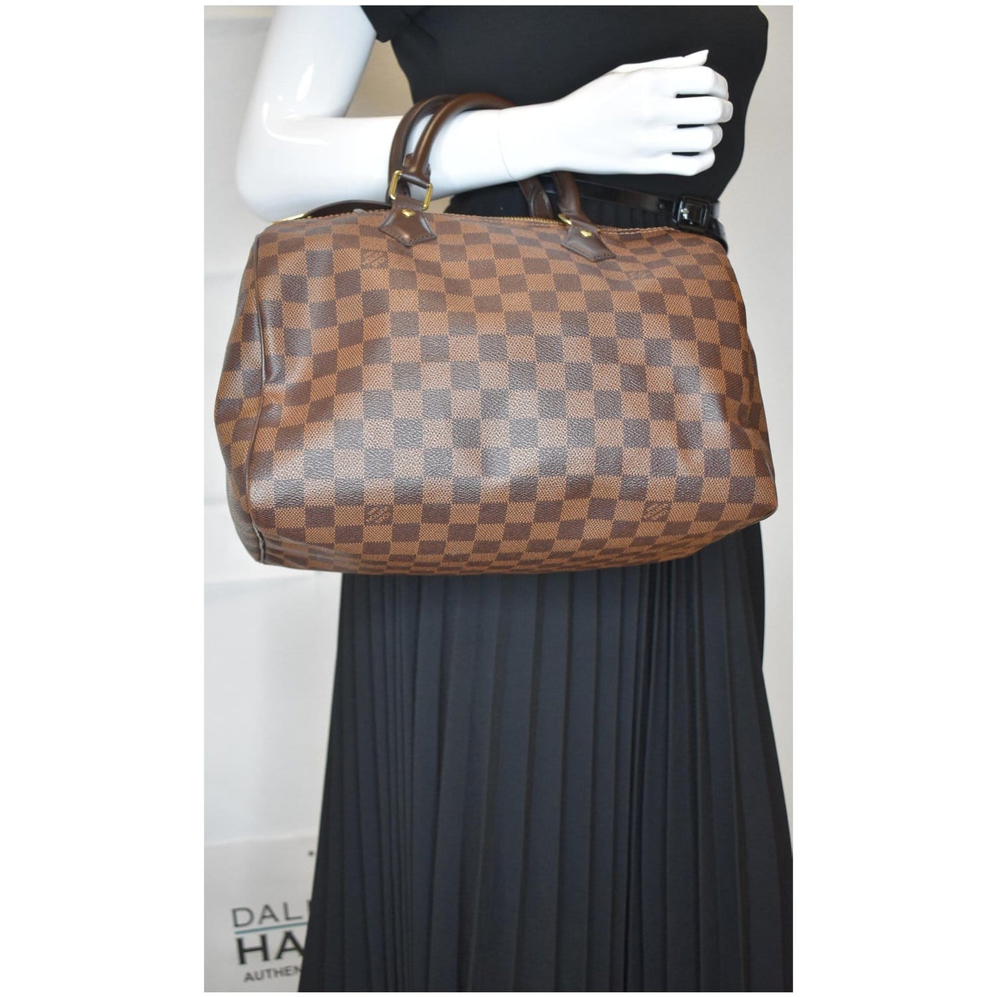 Louis Speedy Damier Ebene Satchel Bag Brown Travel Bag