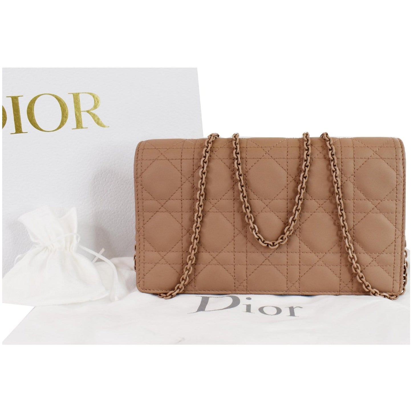 Dior The Lady Calfskin Pouch Bag Blush Ultramatte Chain Shoulder Bag