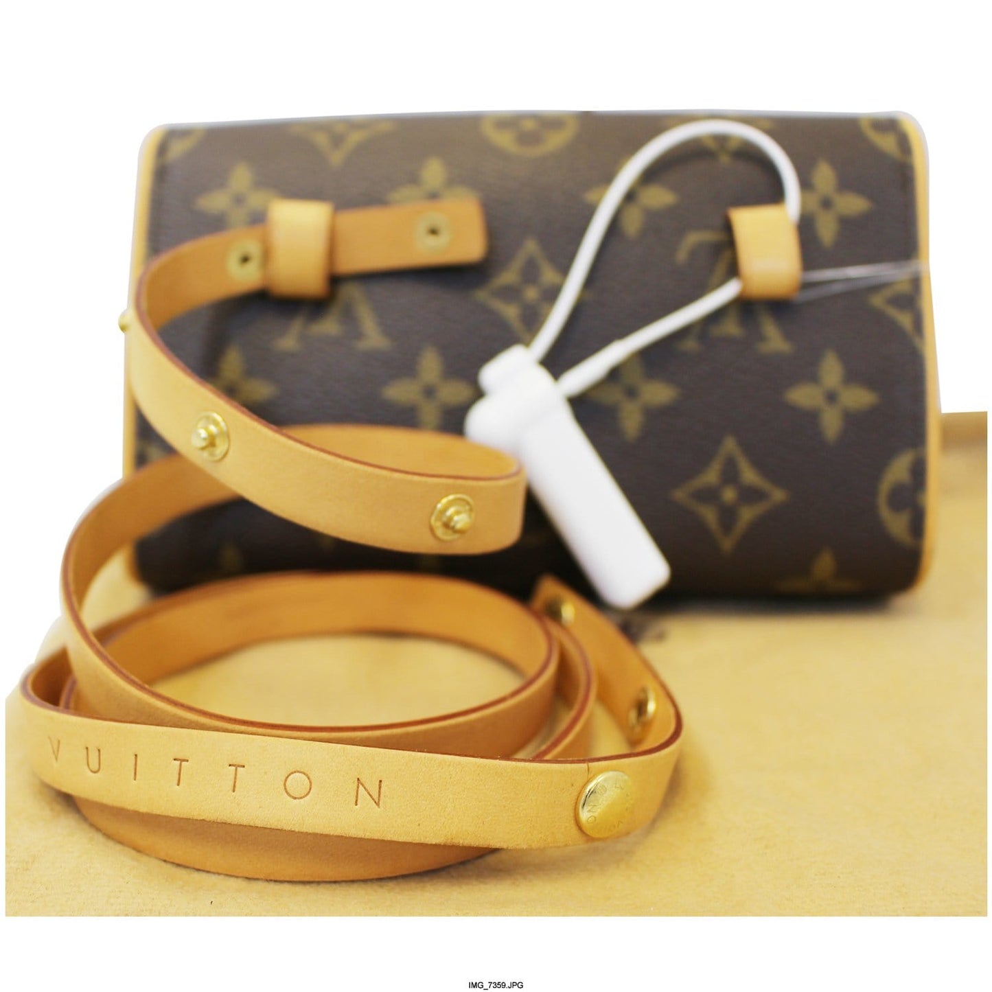 Louis Pochette Florentine Waist Bag Canvas Monogram Crossbody Bag Bag Cc509