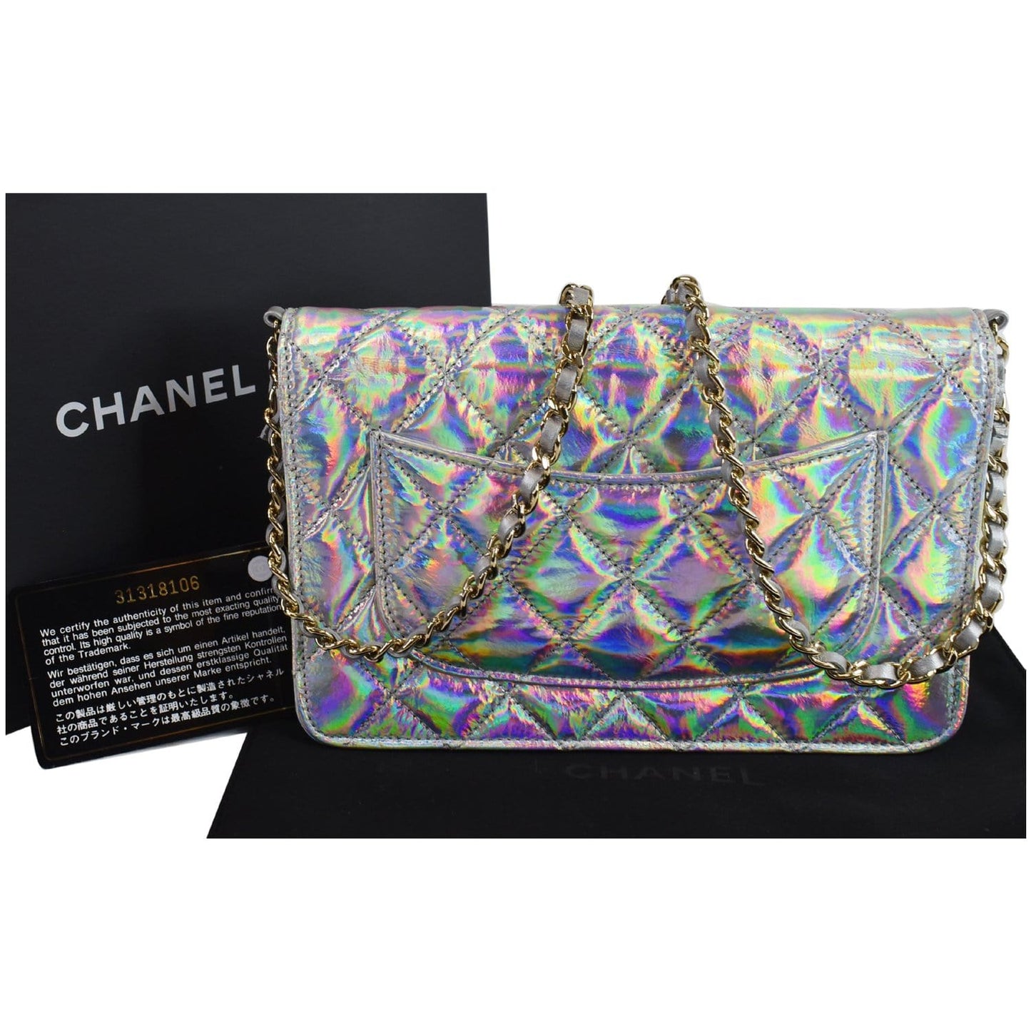 Chanel Timeless Classic Woc Goatskin Wallet On Bag Silver Chain Crossbody Bag
