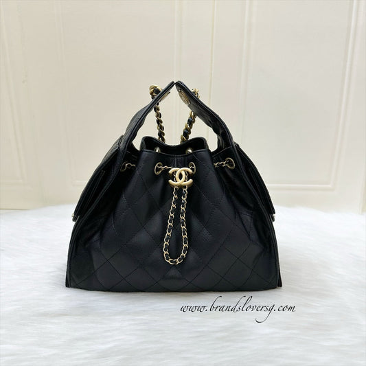 25 Small Hobo Bag in Black Caviar and AGHW (Model: ) Daily