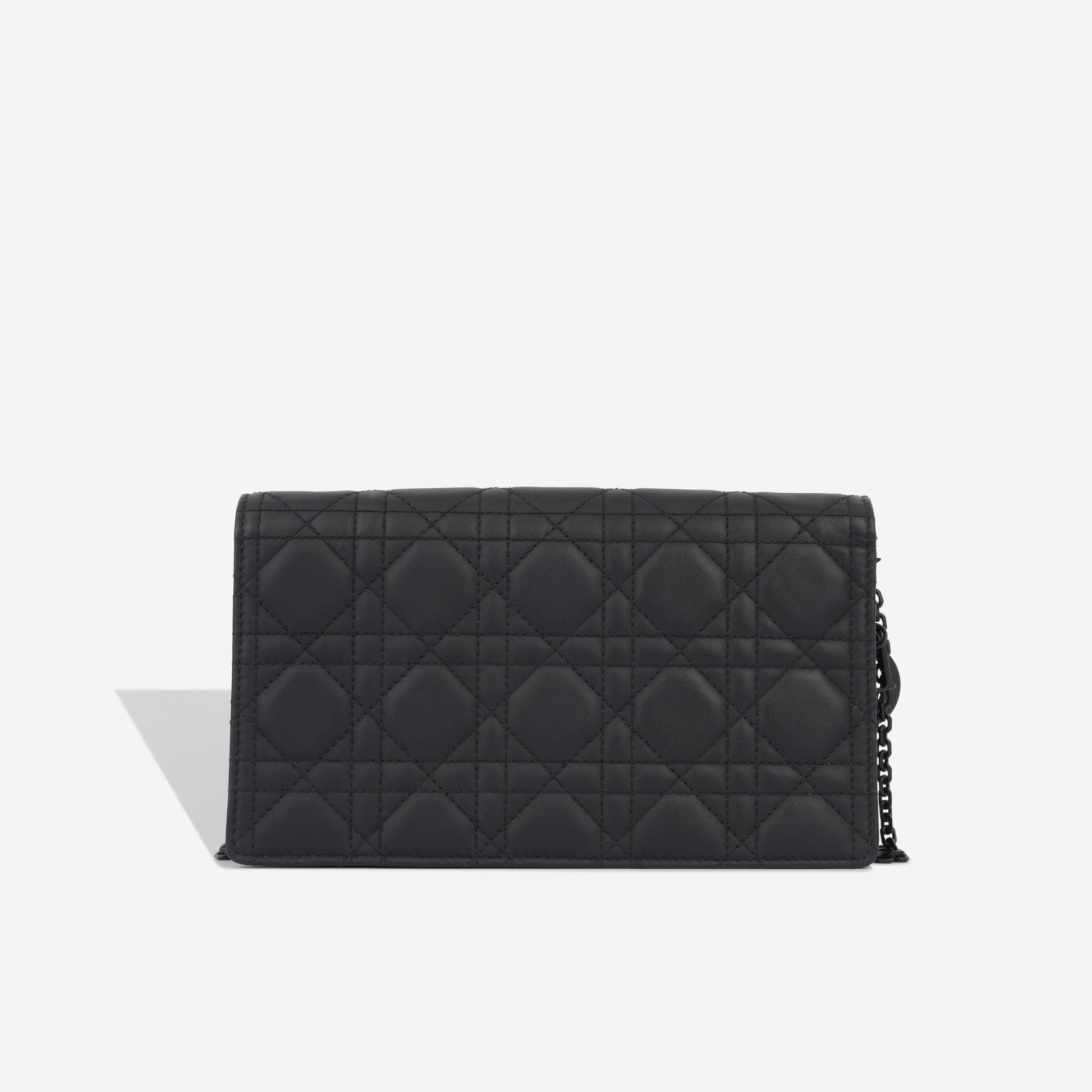 Dior Christian Lady Pouch Matte Crossbody Bag Black