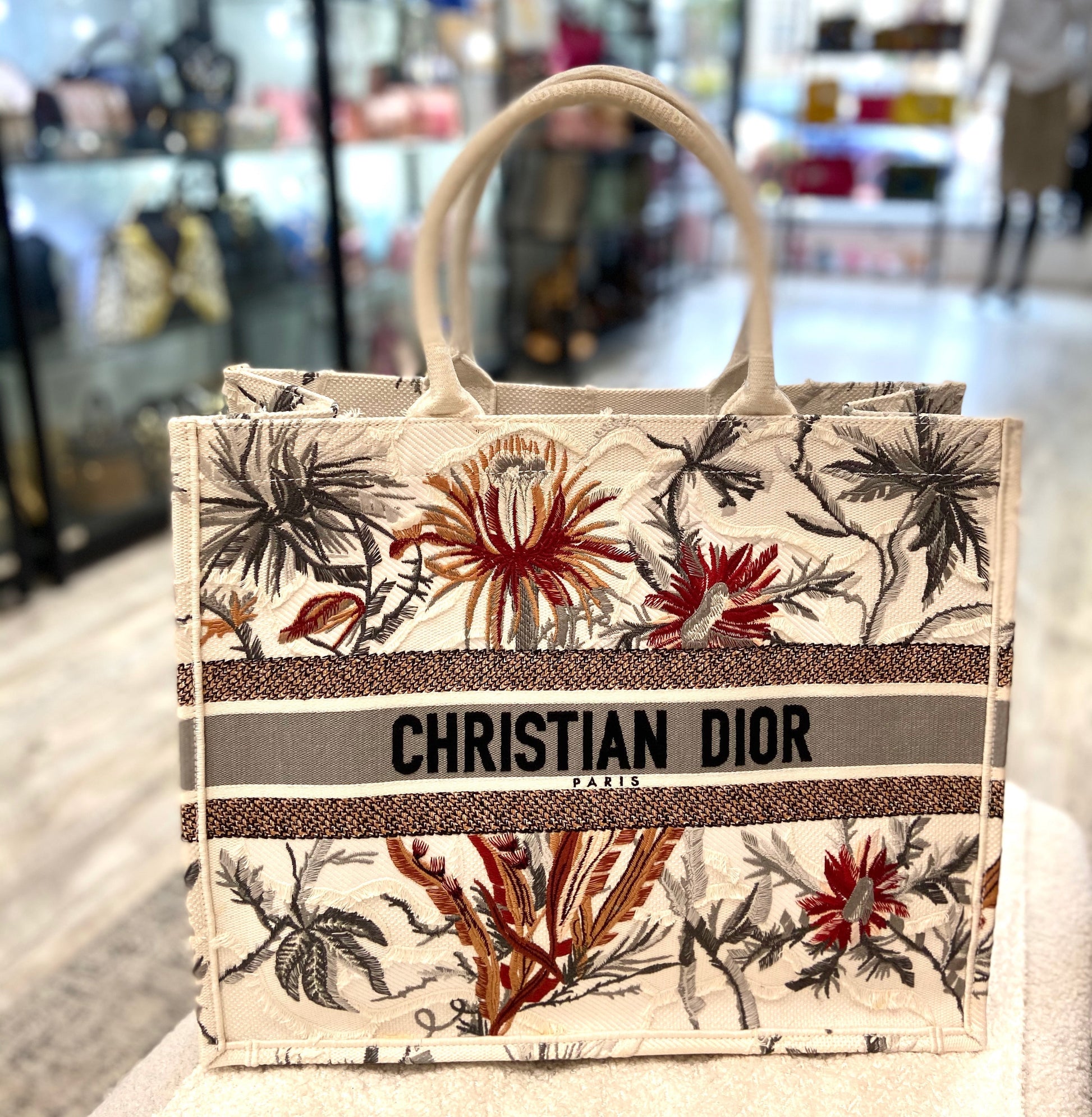 Dior De Jouy Book Tote Bag