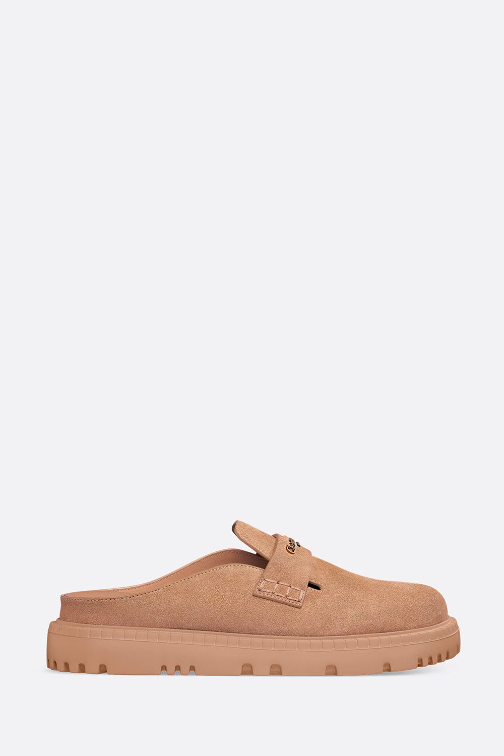Dior Shoe Boy Mule Rope Calfskin Suede Shoes