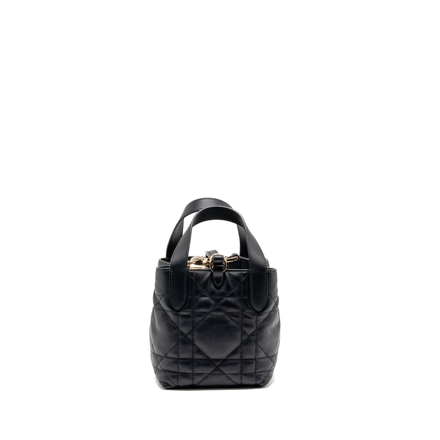 Dior Toujours Vertical Nano Tote Purse Calfskin Handbag Black Tote Bag