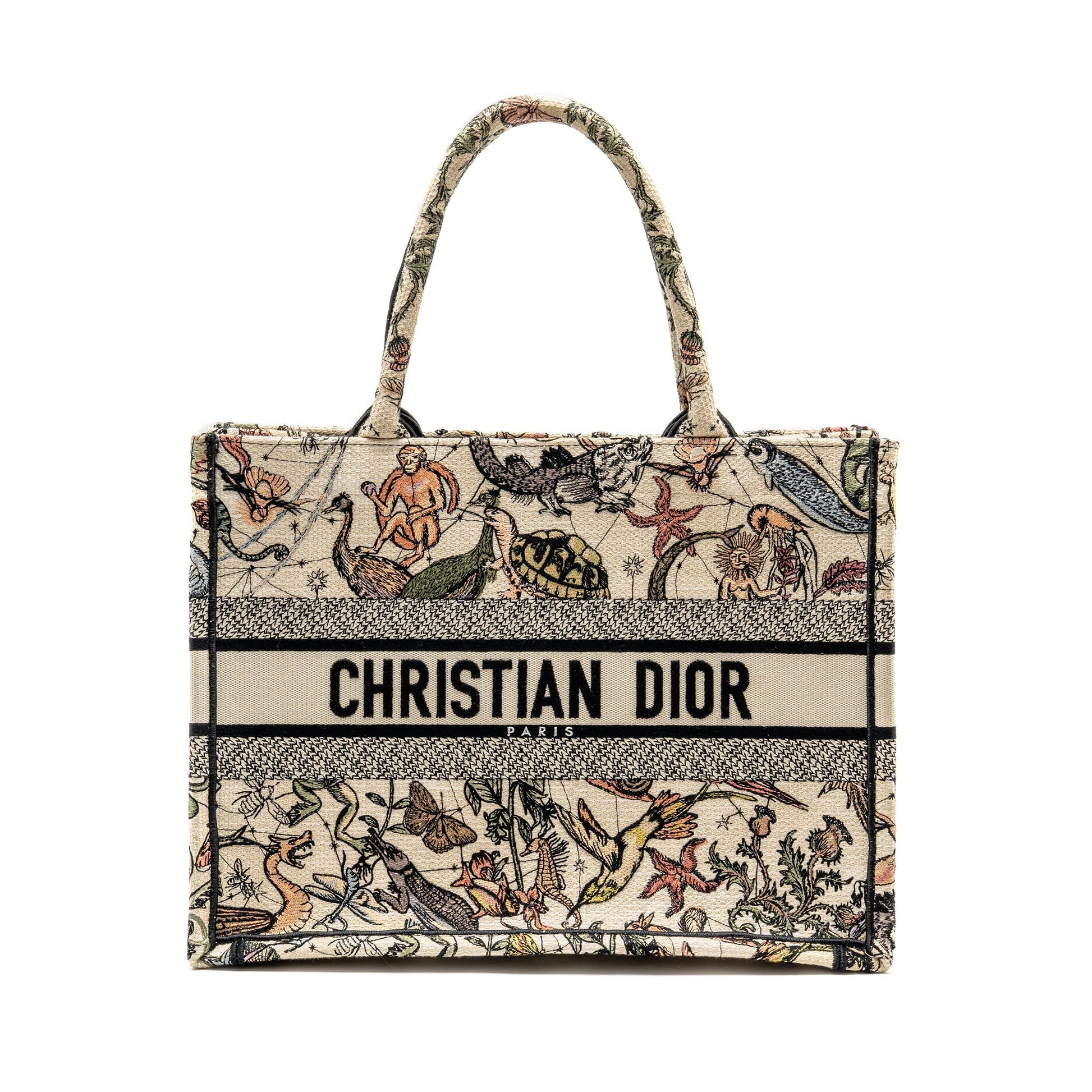 Dior Book Tote Embroidery Multicolour Handbag Canvas Medium Tote Bag