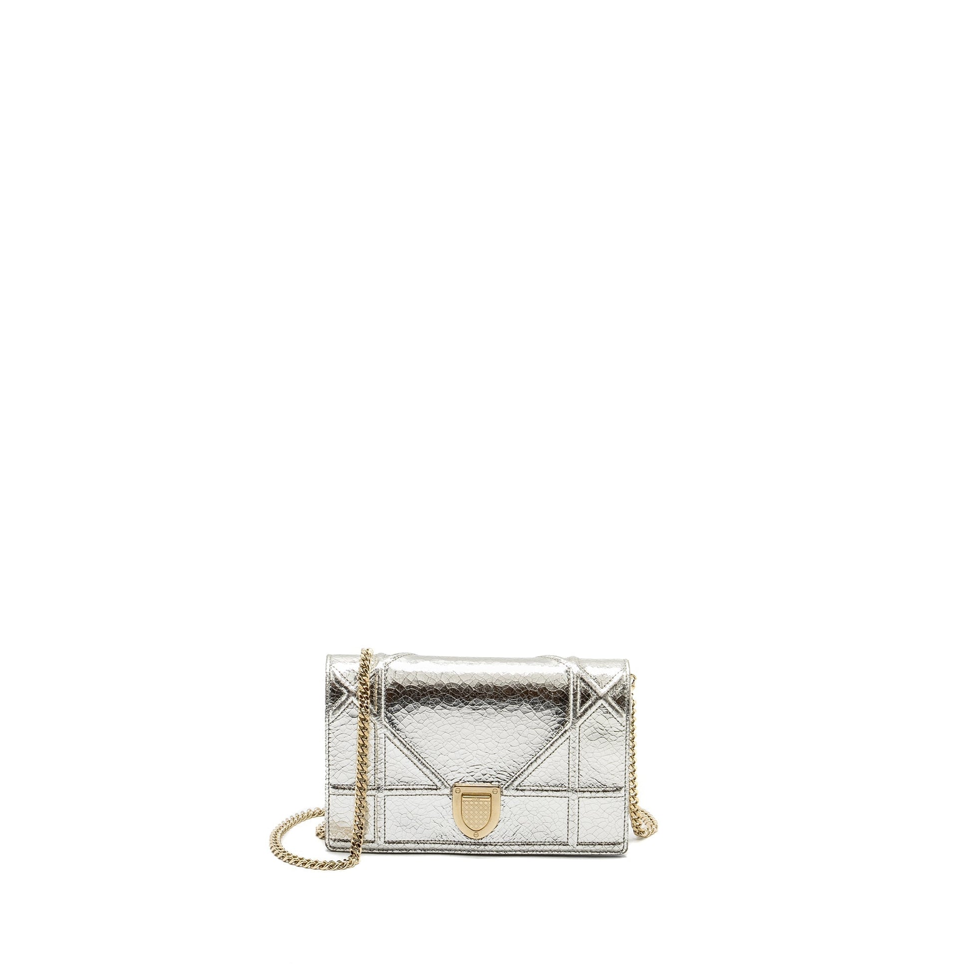 Dior ama Purse Metallic Handbag Leather Silver Travel Bag