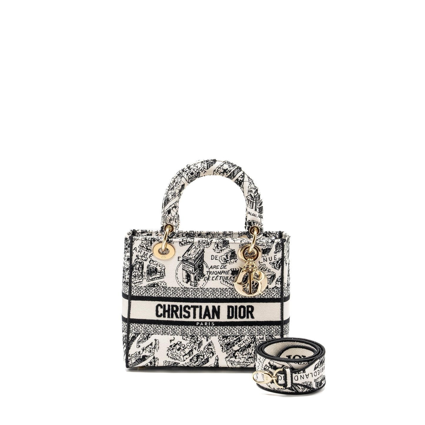 Dior Medium Lady D Lite Purse Plan De Canvas Black Travel Bag