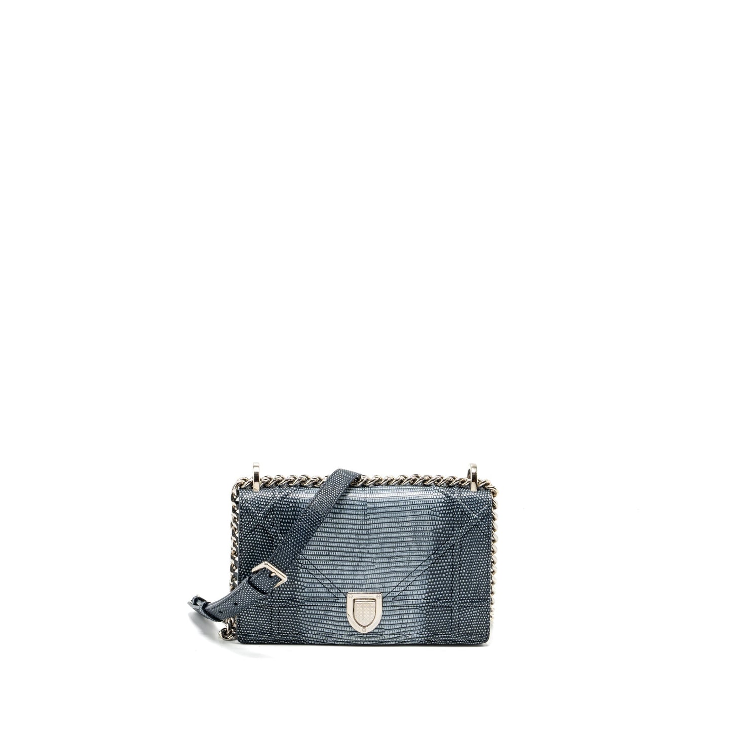 Dior ama Lizard Multicolour Handbag Silver Small Travel Bag