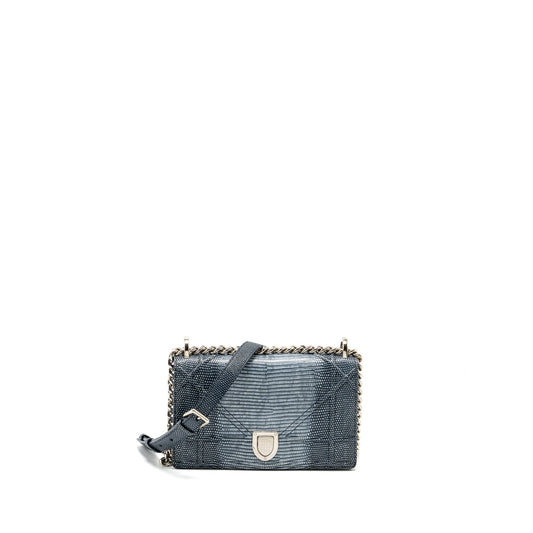 Dior ama Lizard Multicolour Handbag Silver Small Travel Bag
