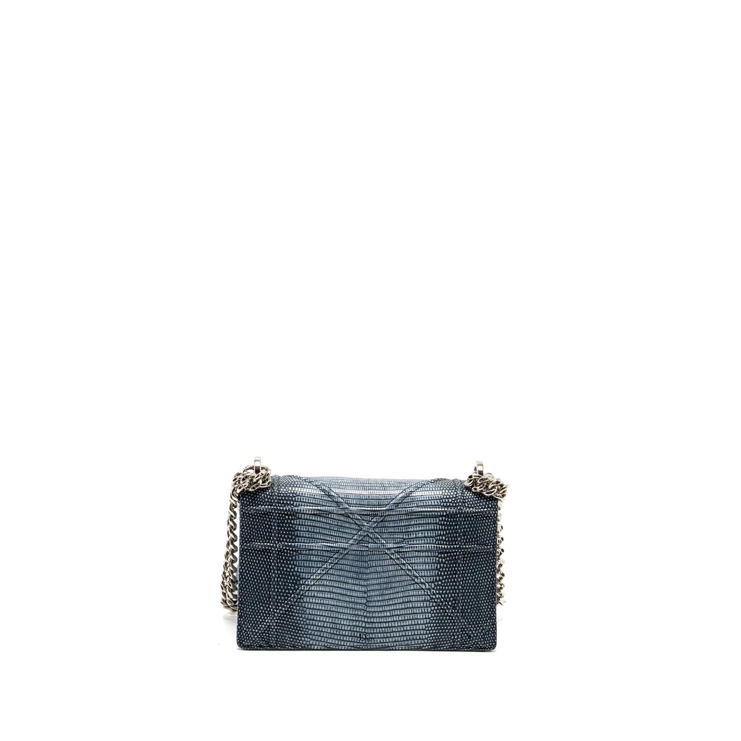 Dior ama Lizard Multicolour Handbag Silver Small Travel Bag