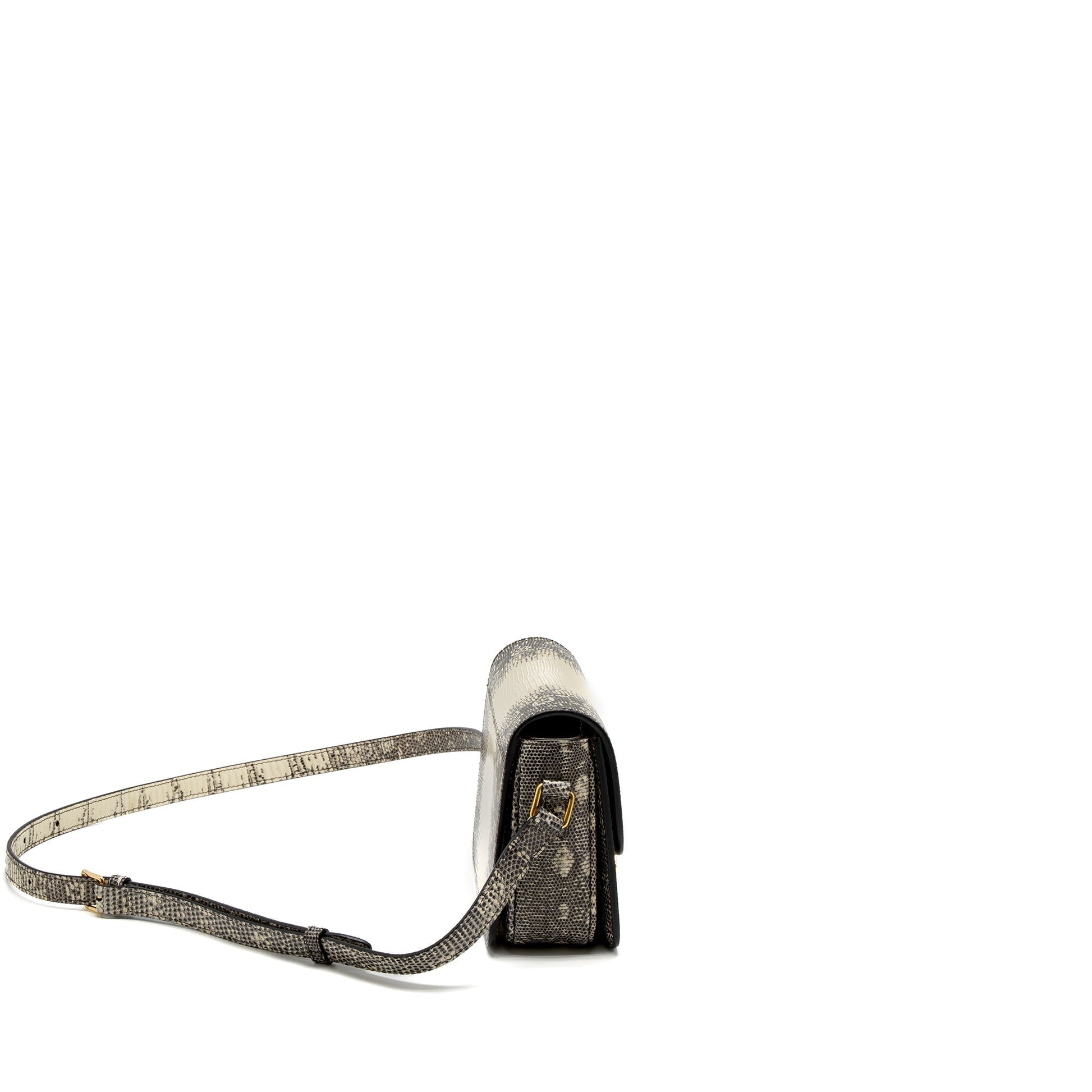 Celine Teen Triomphe Purse Lizard Natural Colour Handbag Travel Bag