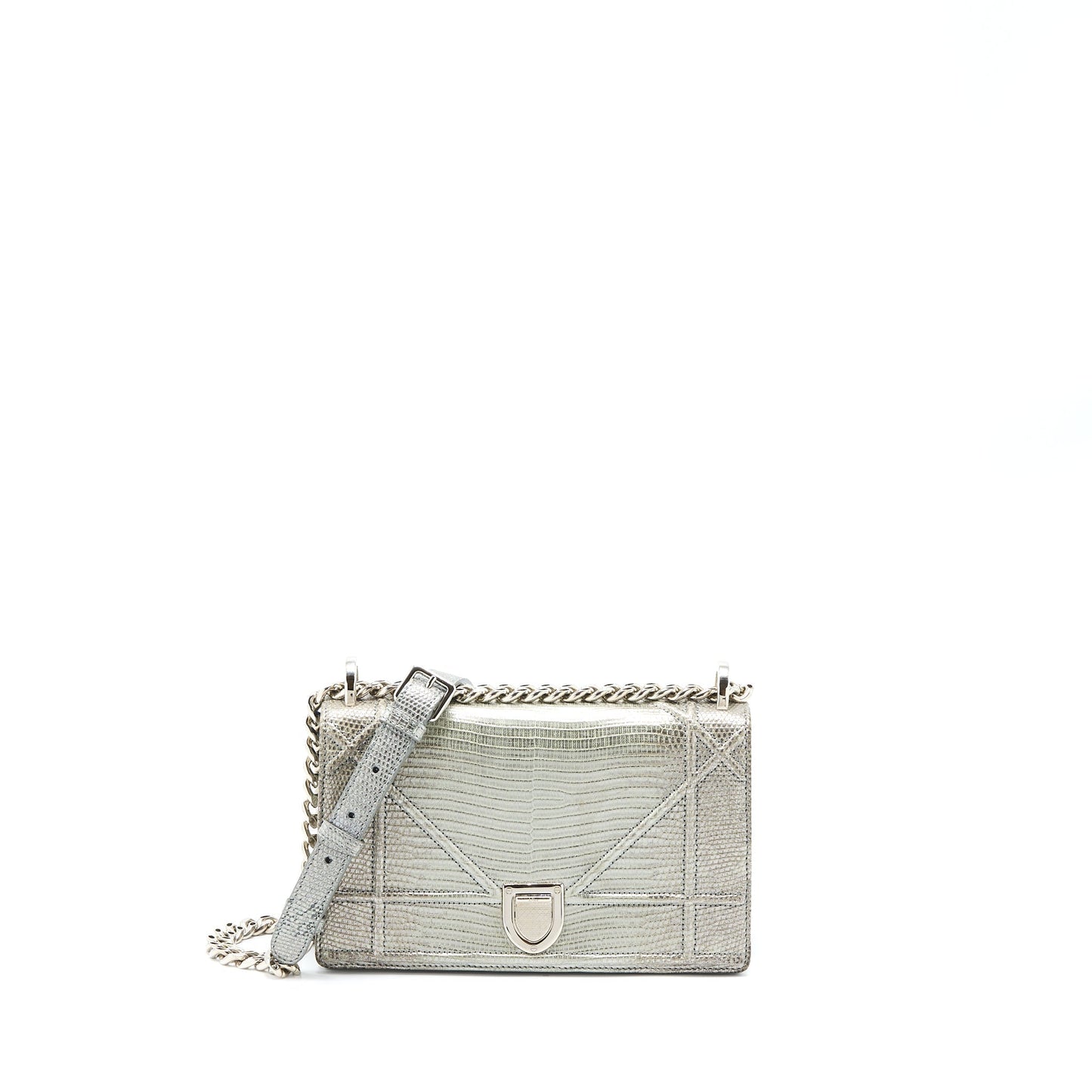 Dior ama Lizard Metallic Handbag Silver Small Travel Bag