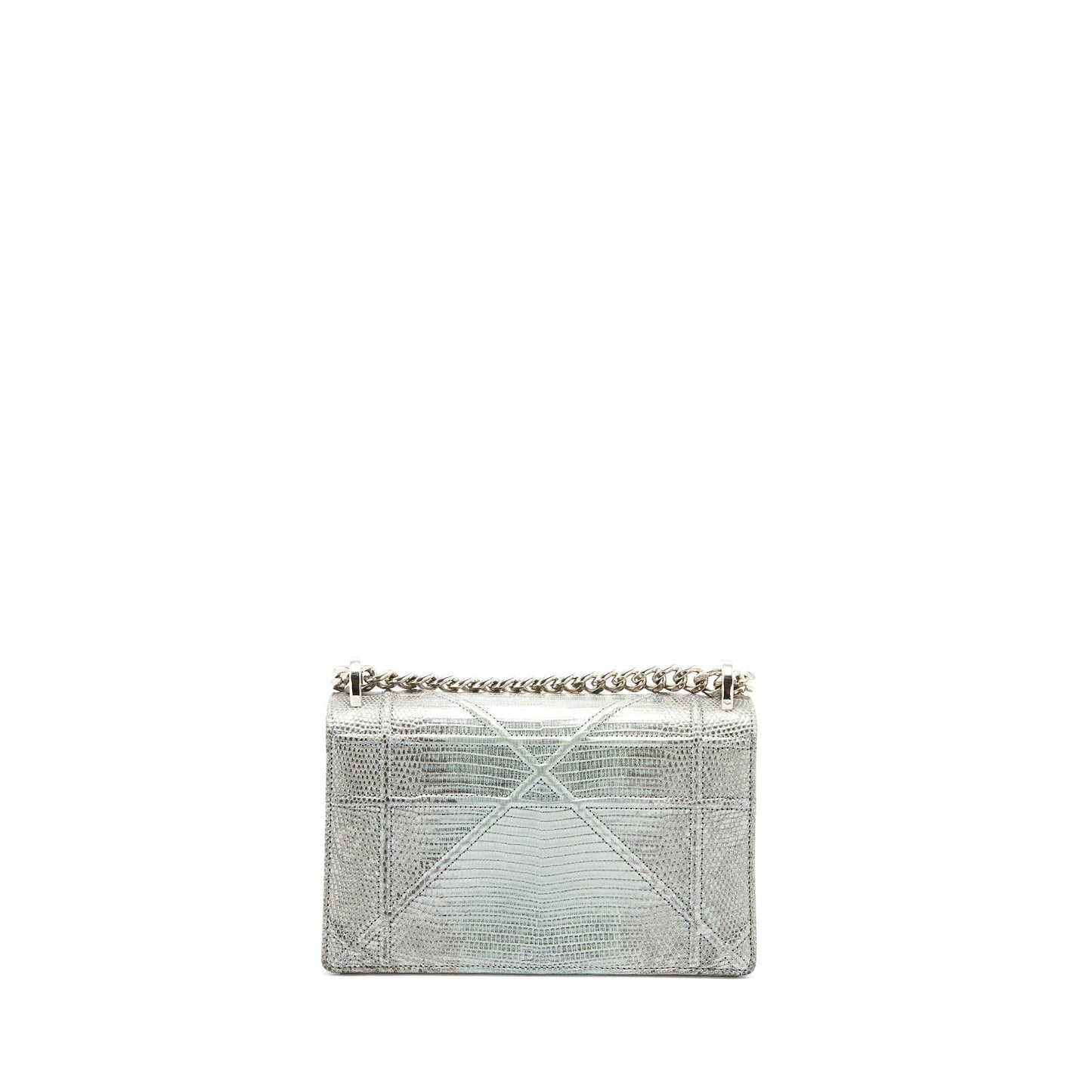 Dior ama Lizard Metallic Handbag Silver Small Travel Bag