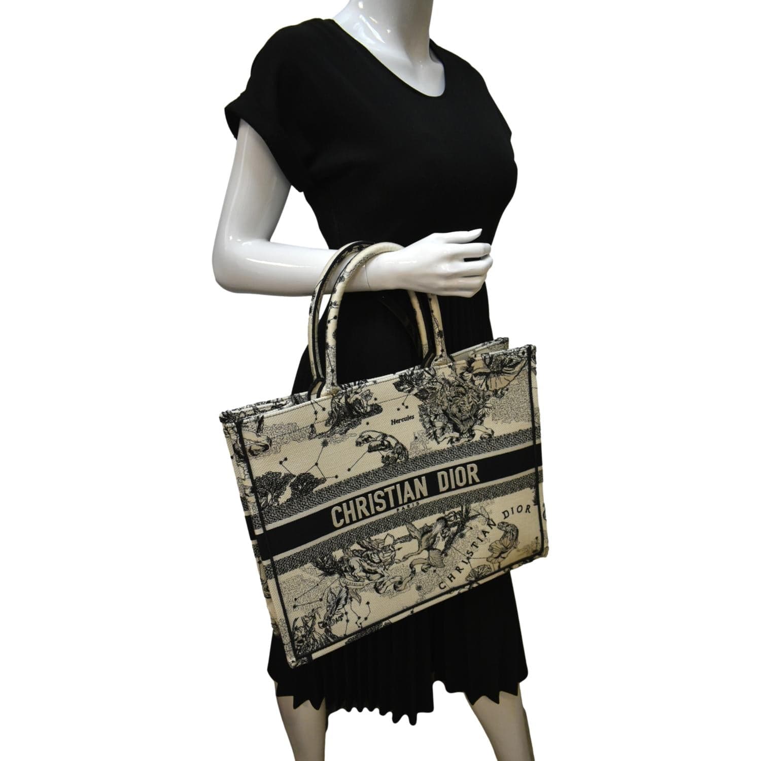 Dior Book Zodiac Embroidery Tote Bag Latte Canvas Dior Zodiac Tote