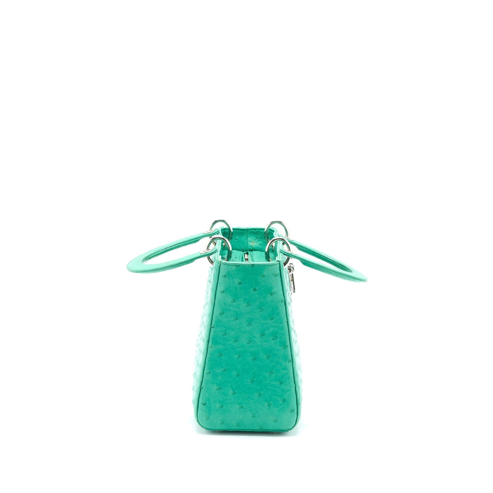 Dior Lady Ostrich Handbag Green Medium Travel Bag