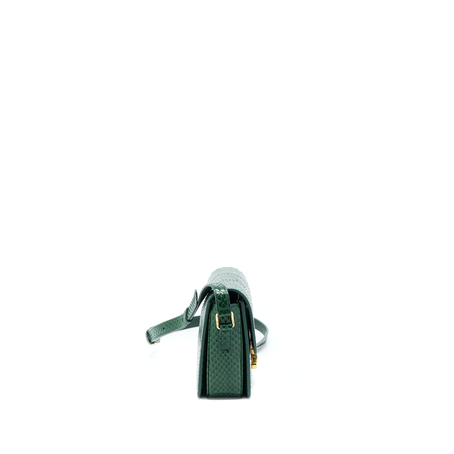 Celine Triomphe Purse Water Snake Handbag Leather Green Travel Bag