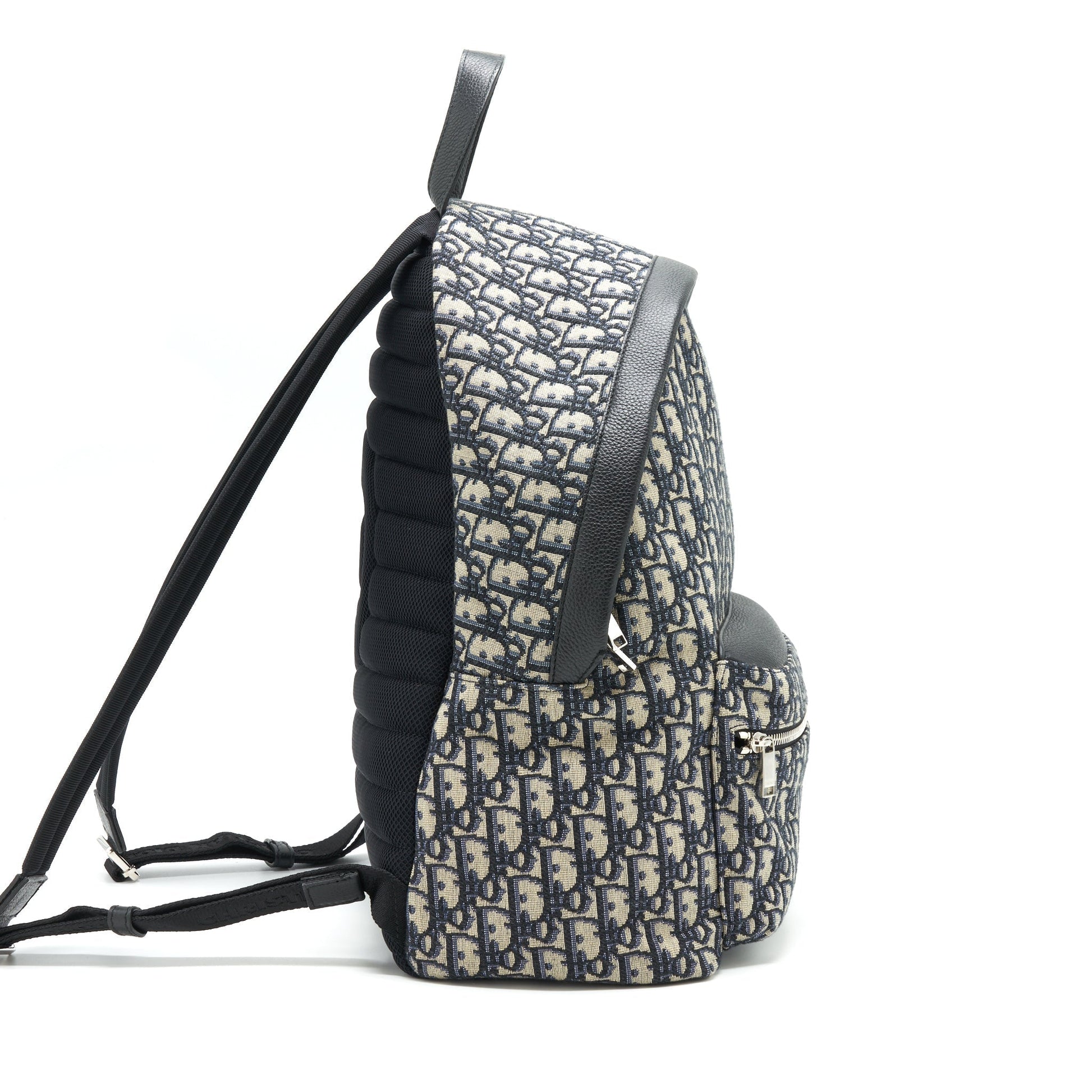 Dior Rider Backpack And Oblique Jacquard Handbag Black Beige