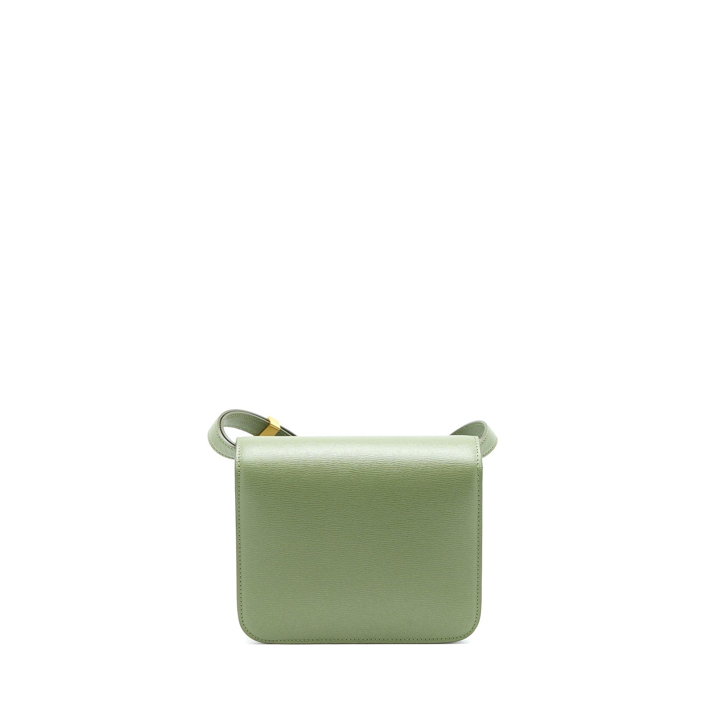 Celine Teen Box Calfskin Handbag Green Travel Bag