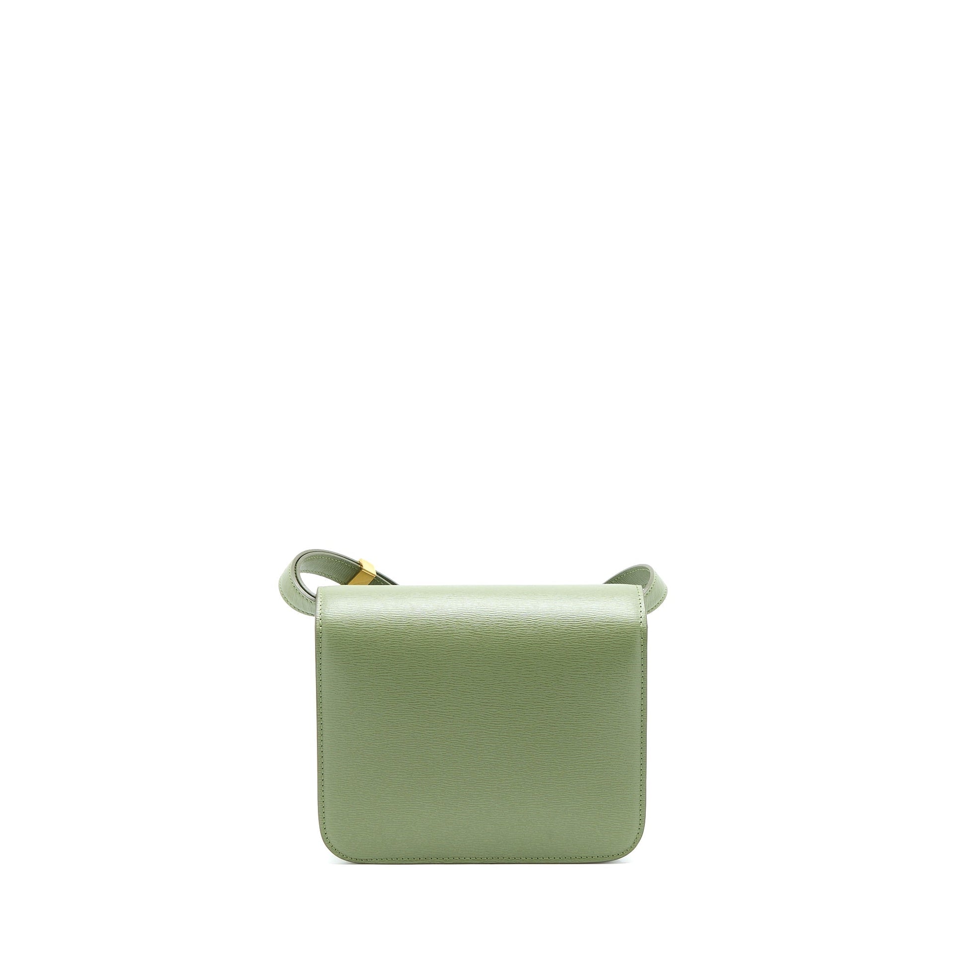 Celine Teen Box Calfskin Handbag Green Travel Bag