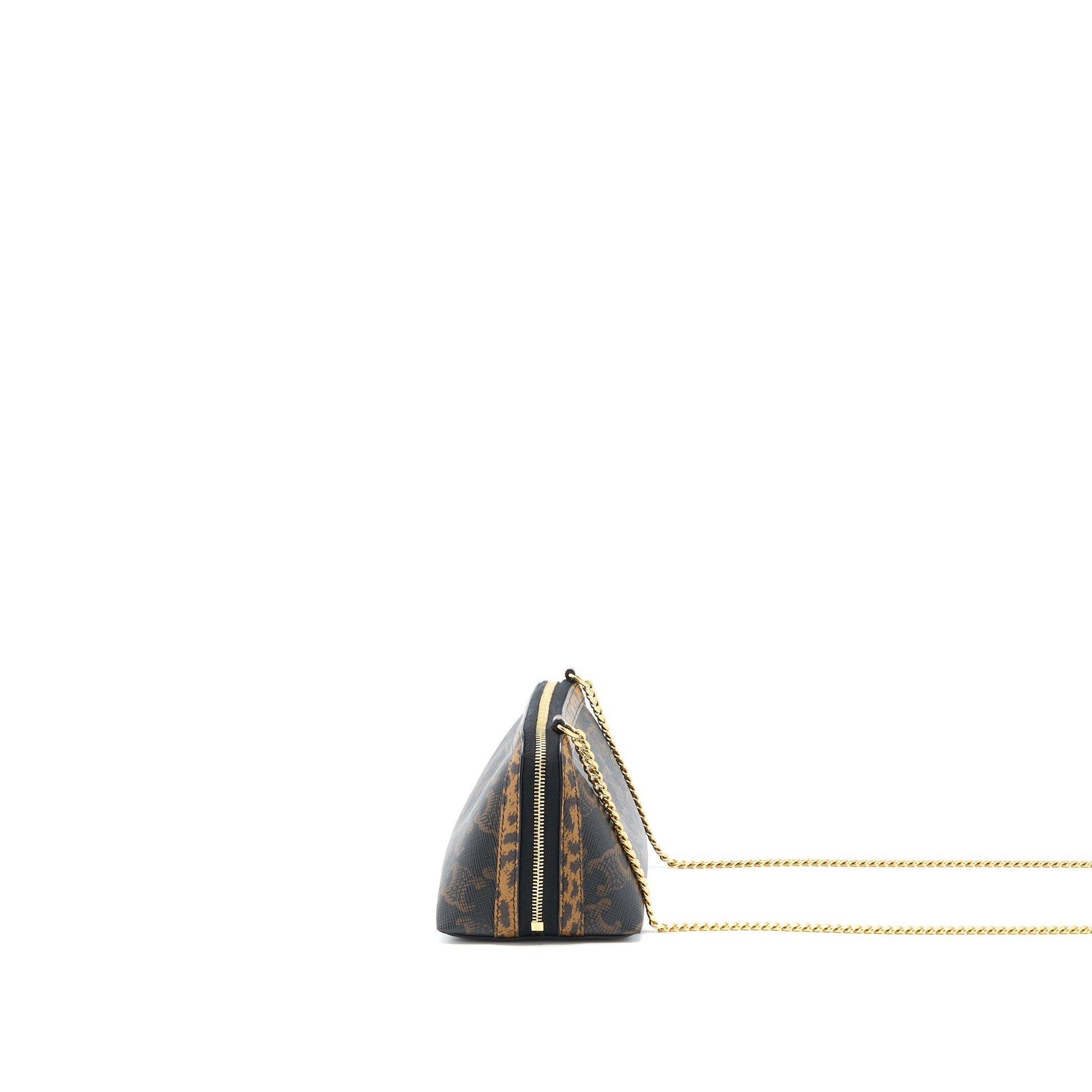 Celine Clutch With Triomphe Limited Edge Print Handbag Canvas Chain Clutch Bag