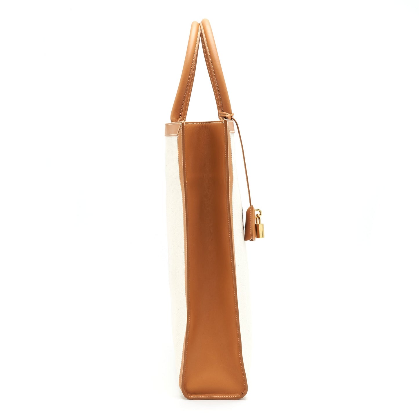 Celine Vertical Cabas With Print And Calfskin Handbag Canvas Small Travel Bag