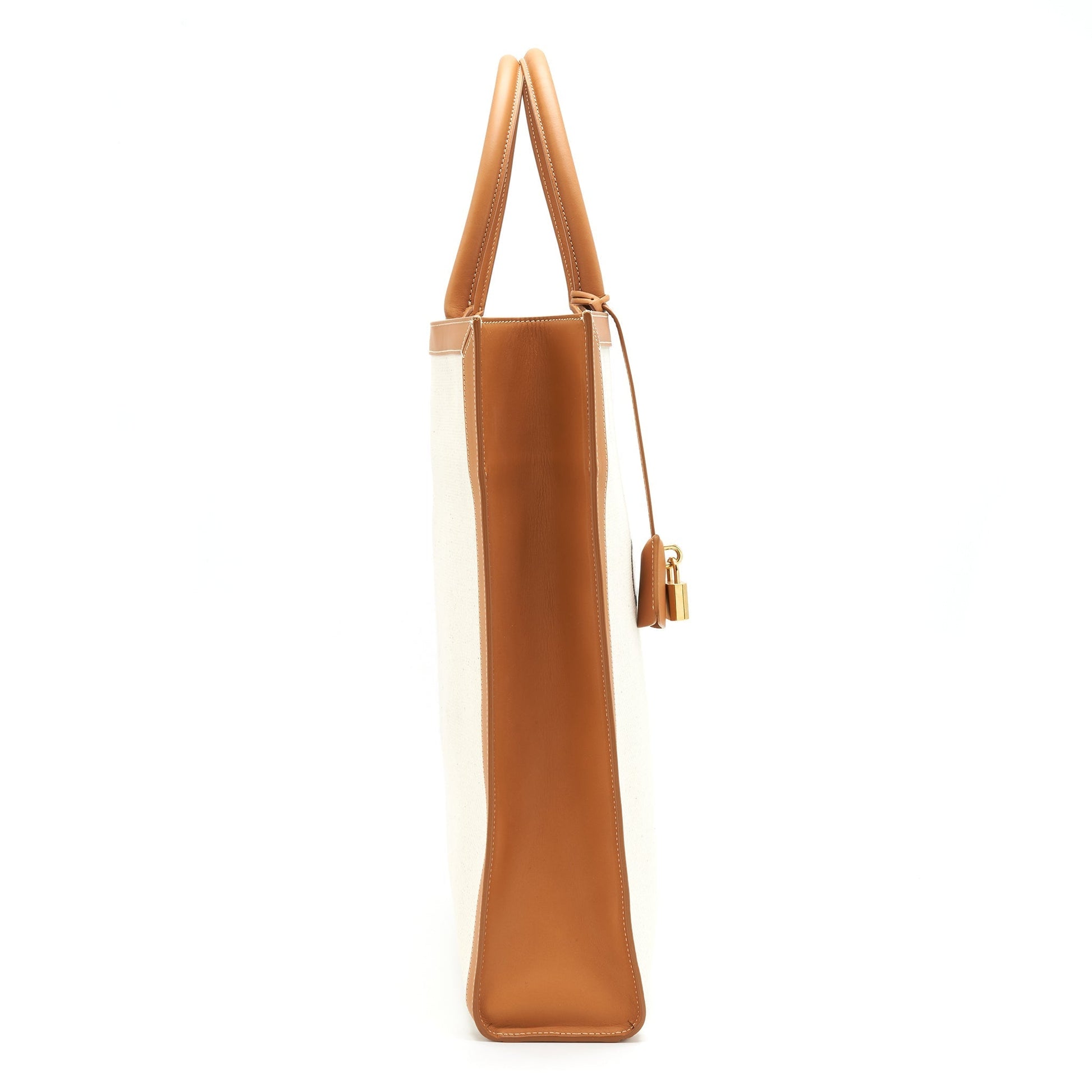 Celine Vertical Cabas With Print And Calfskin Handbag Canvas Small Travel Bag