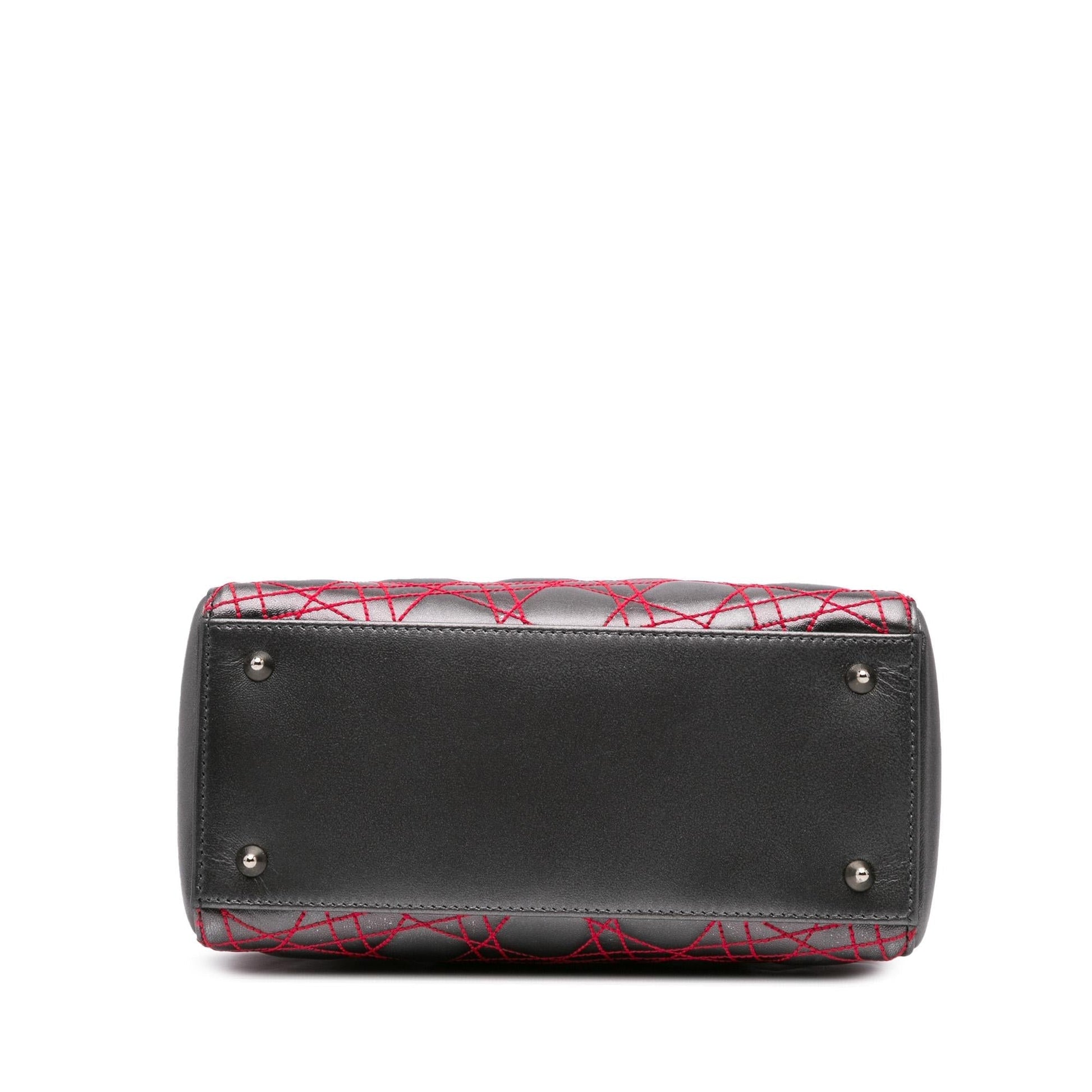 Dior Anselm Reyle Metallic Cannage Lady Satchel Bag Lambskin Medium