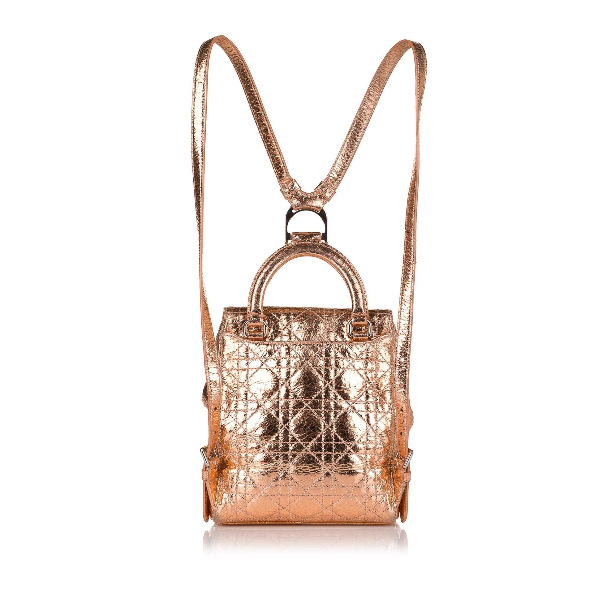 Dior Cannage Stardust Backpack Shg Leather