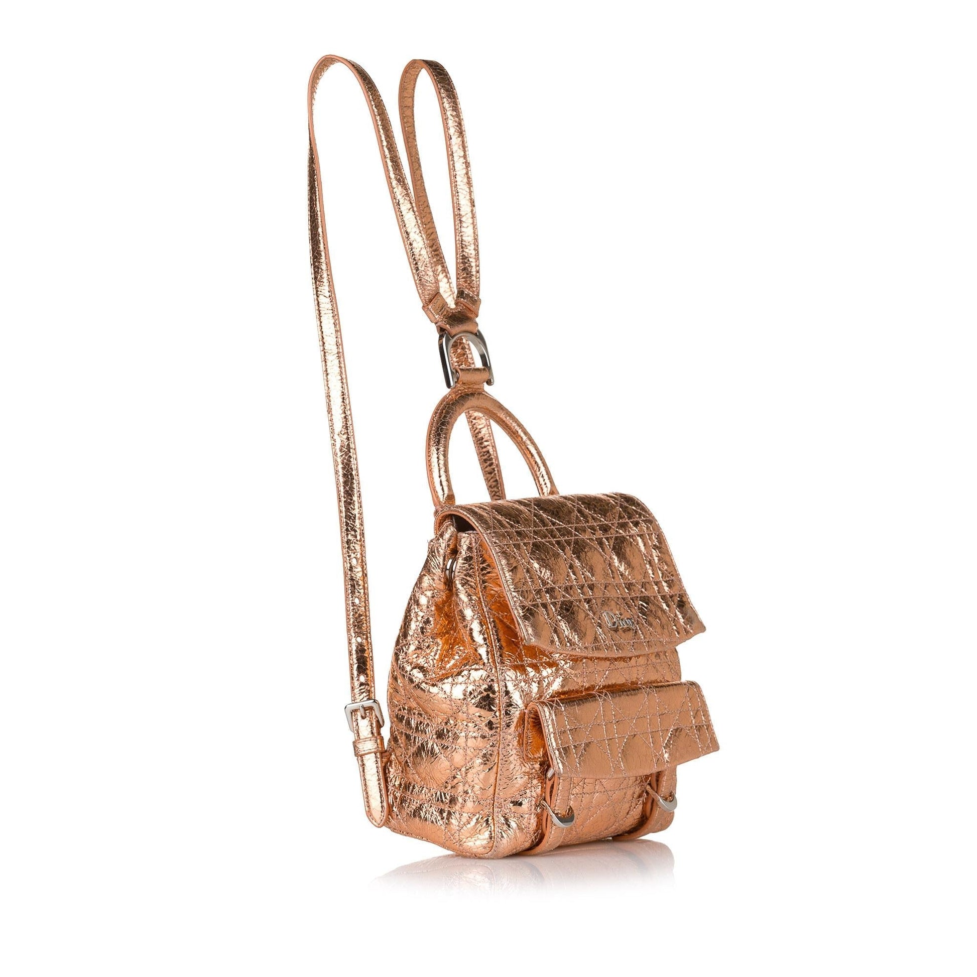 Dior Cannage Stardust Backpack Shg Leather