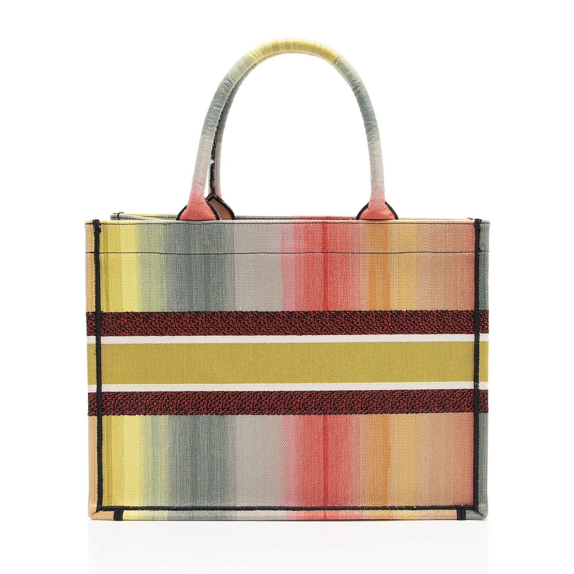 Dior aura Book Tote Canvas Small Tote Bag
