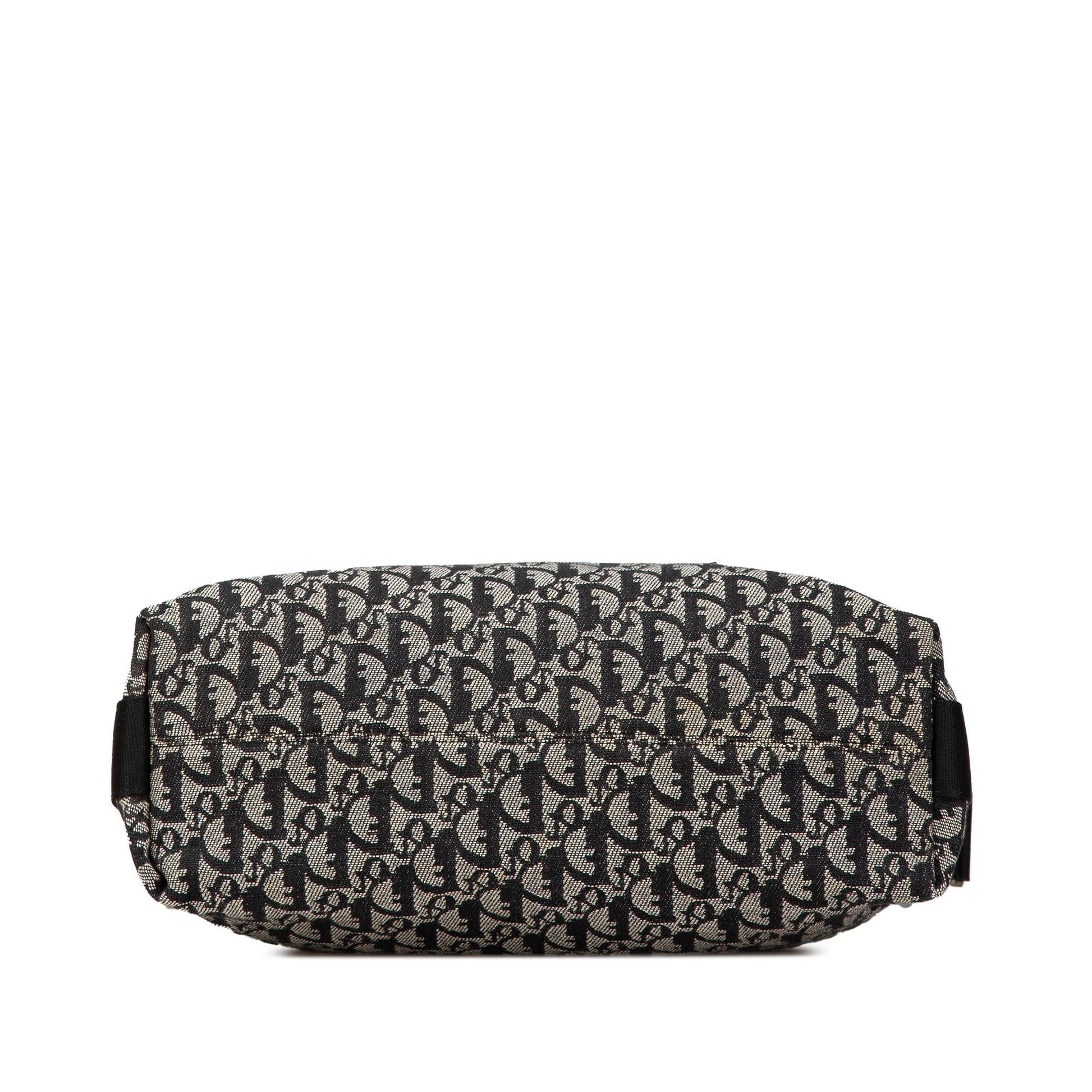 Dior issimo Trotter Crossbody Canvas Crossbody Bag