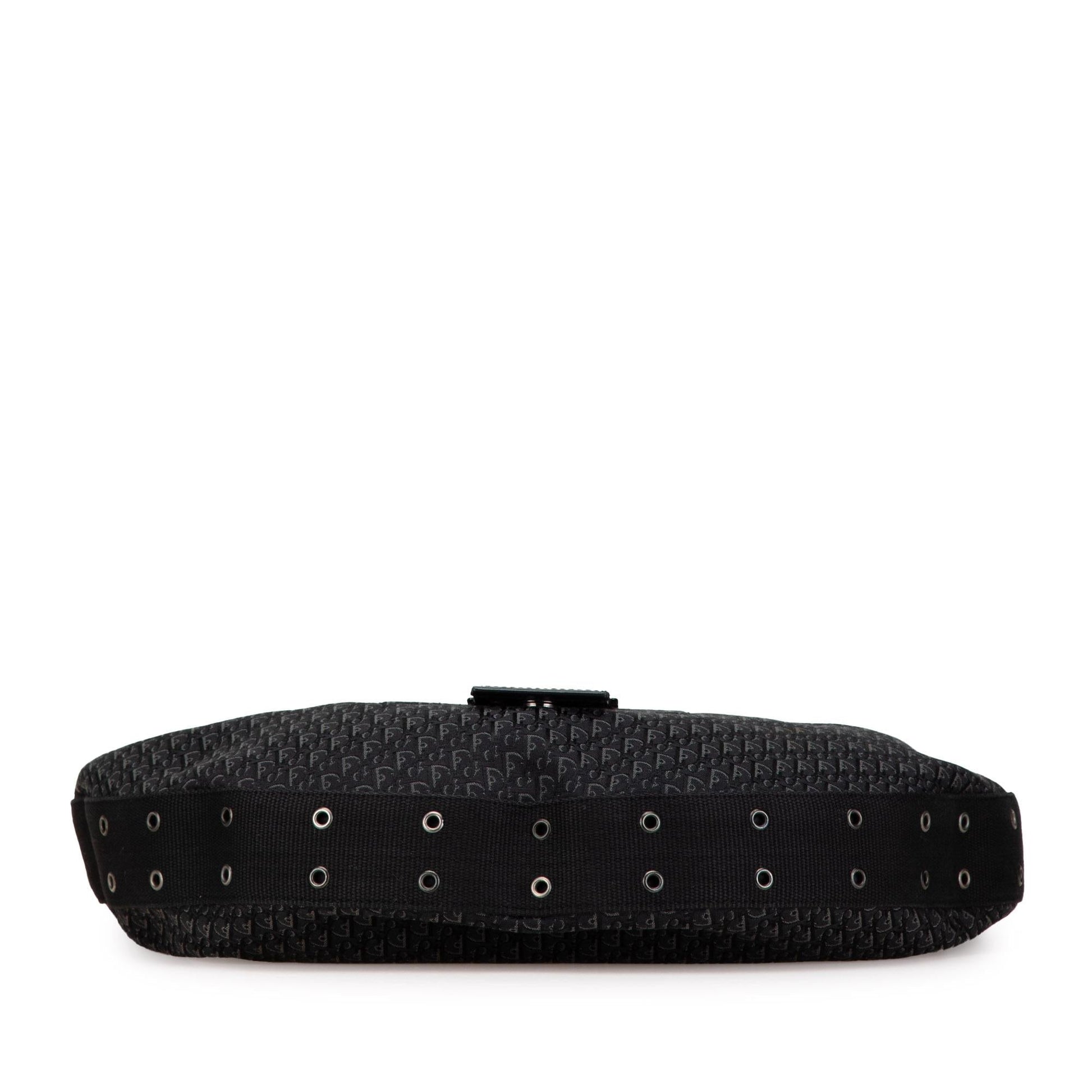Dior issimo Trotter Street Chic Hobo Canvas Shoulder Bag