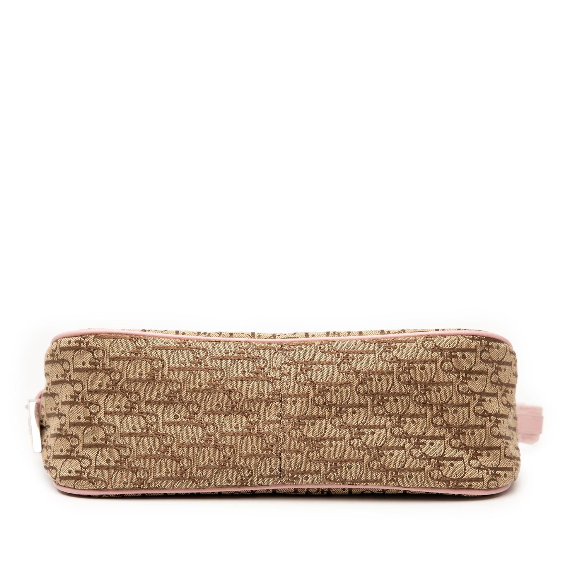 Dior issimo Trotter Street Chic Shoulder Bag Canvas