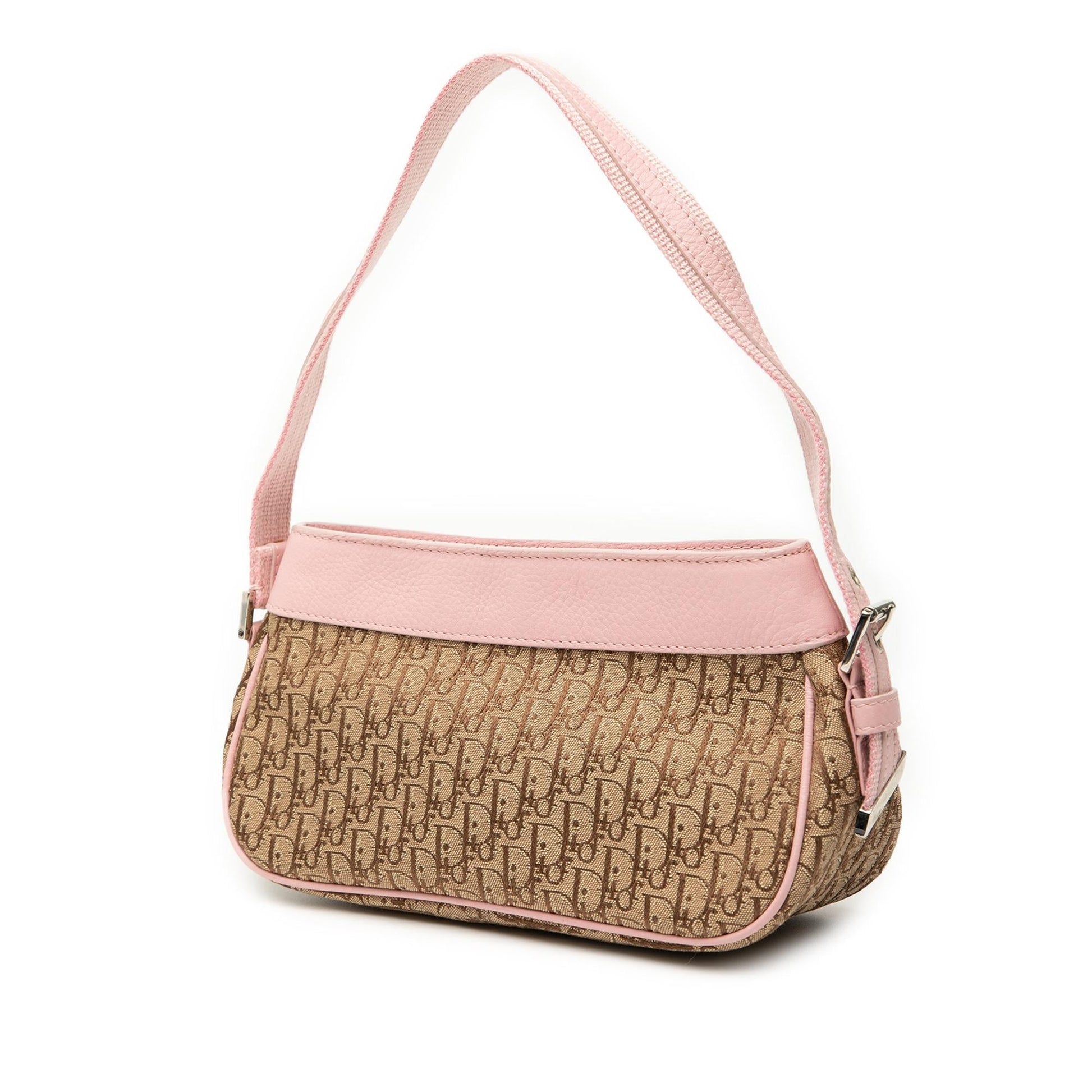 Dior issimo Trotter Street Chic Shoulder Bag Canvas