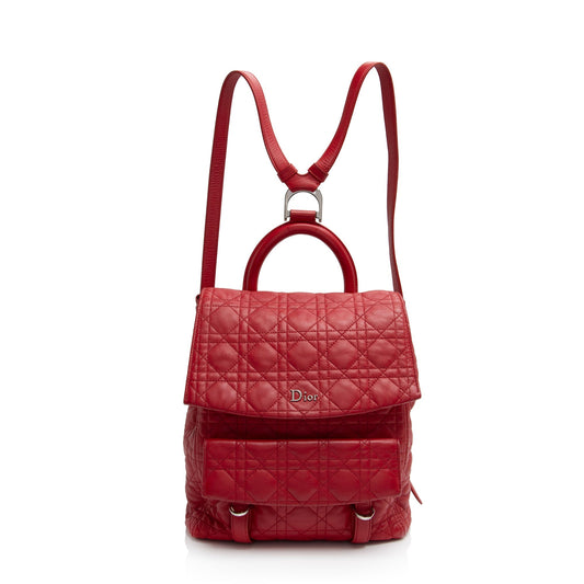 Dior Stardust Backpack Final Sale Shf Ngnkzh Lambskin Large Shoulder Bag
