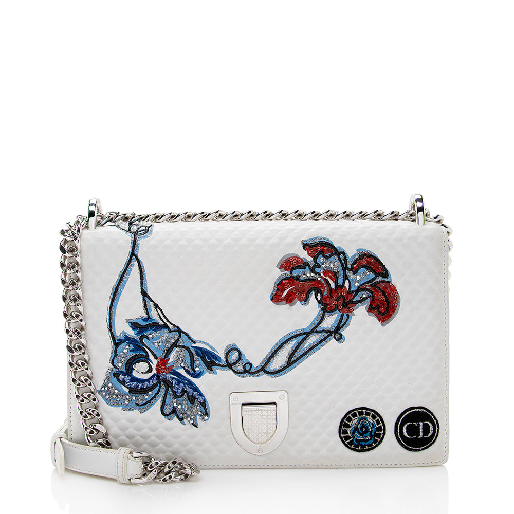 Dior ama Shoulder Bag Shf Leather Embroidered Flap
