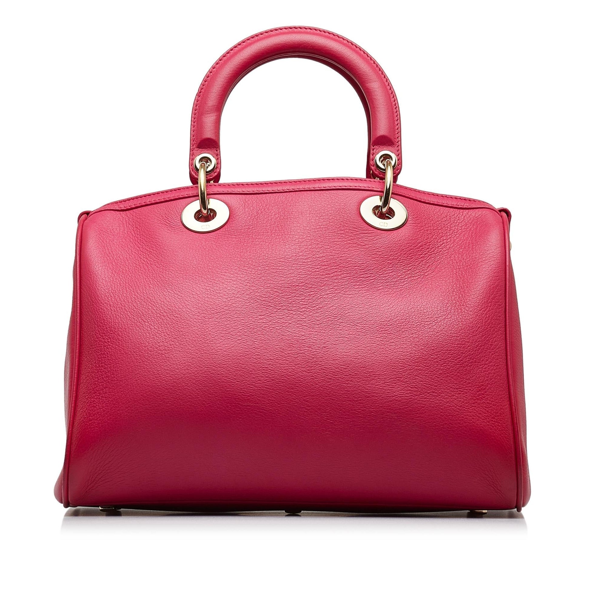 Dior Satchel Shg Iggotx Leather Satchel Bag
