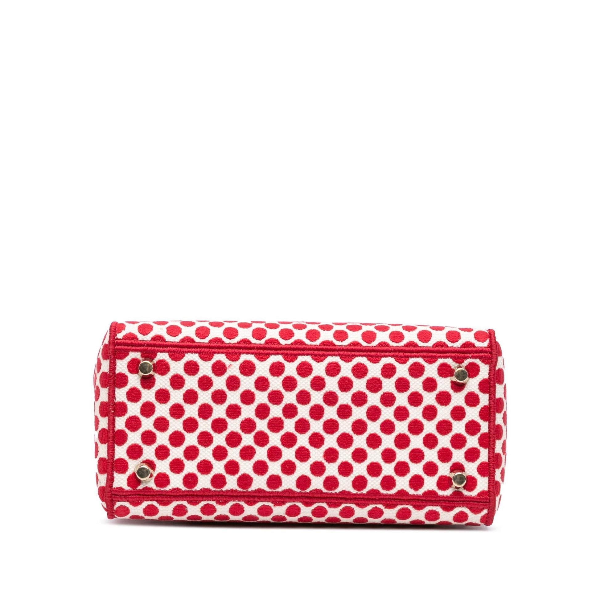 Dior amour Dots Lady Lite Satchel Bag Canvas Medium