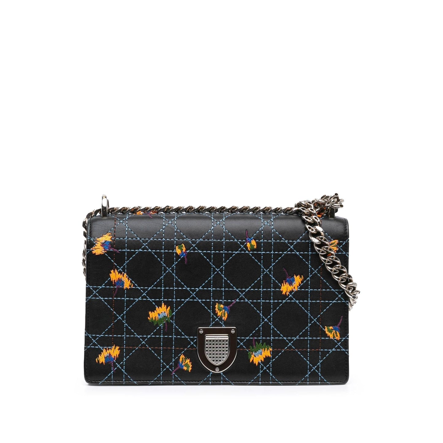 Dior Calfskin ama Shoulder Bag Medium Embroidered Flap